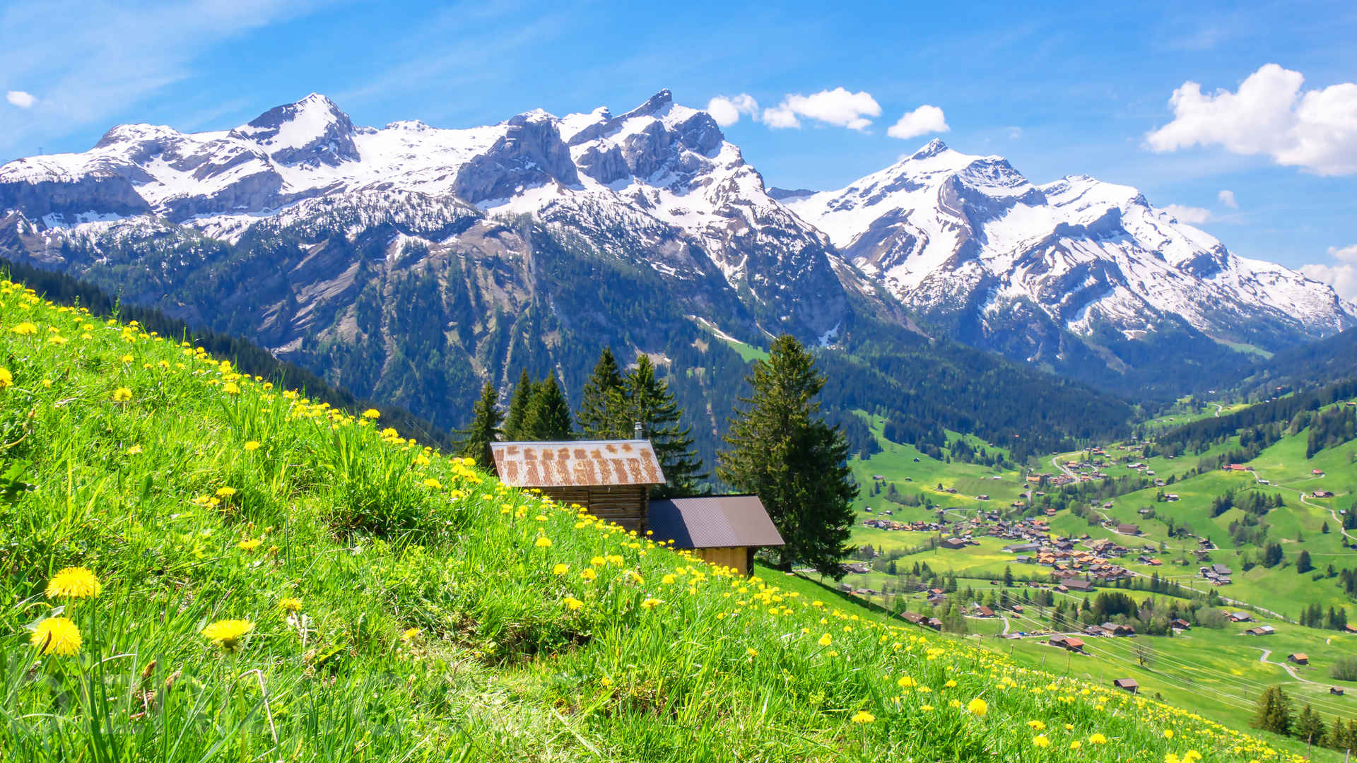 伯尔尼高地 瑞士 山 鲜花4K壁纸