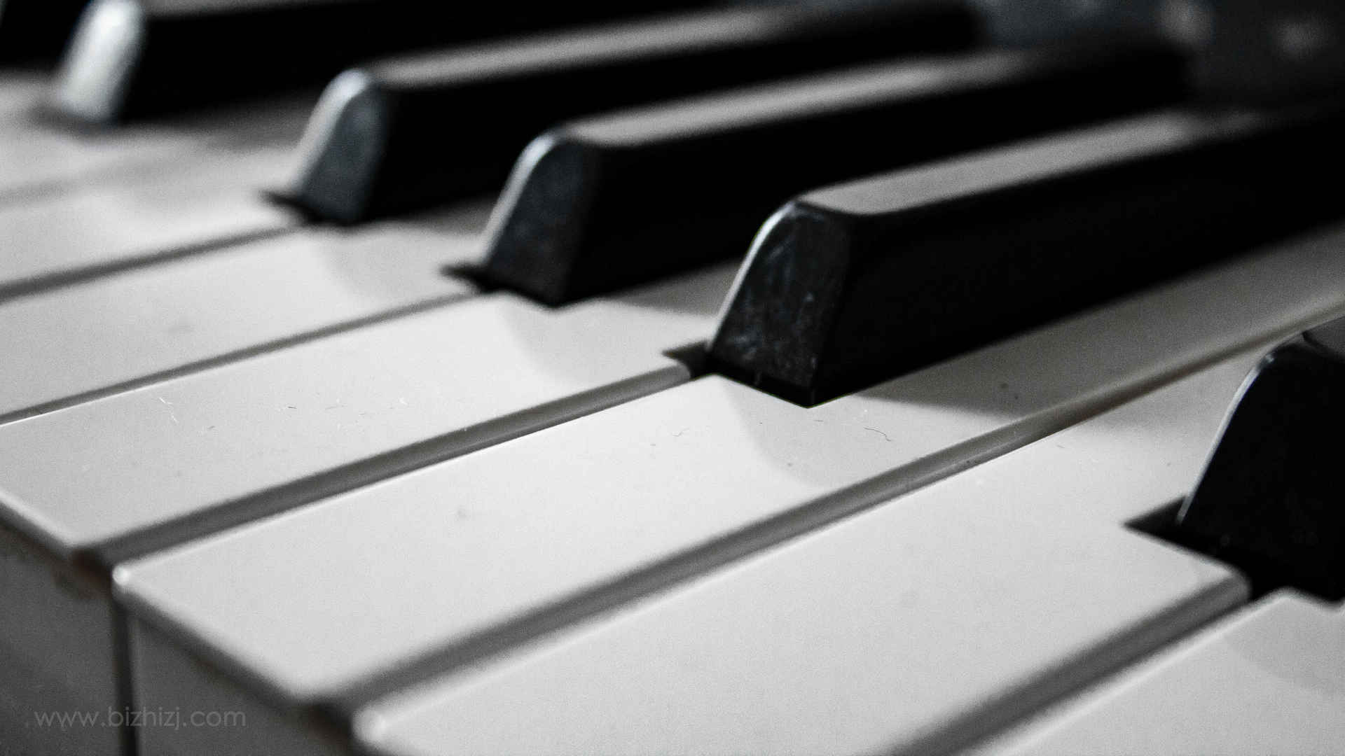 钢琴黑白键盘图片