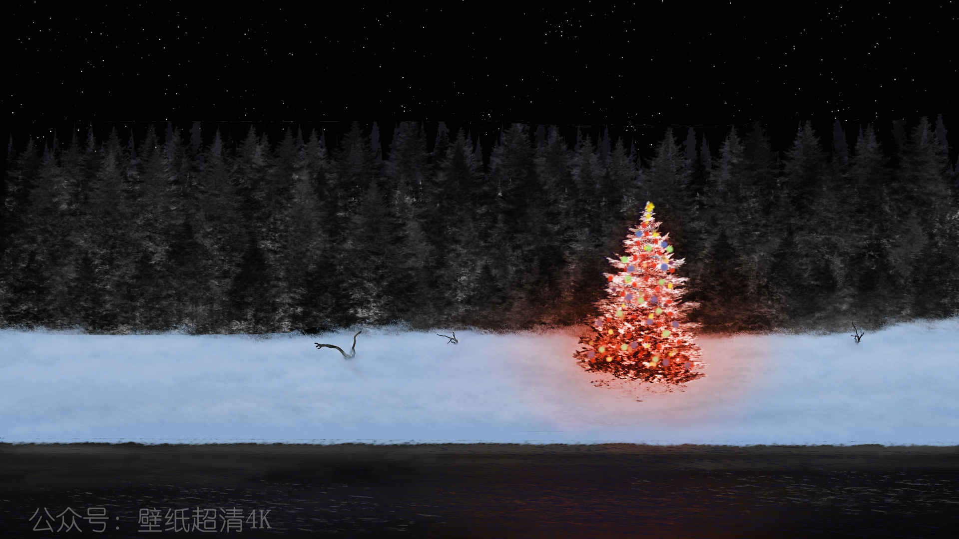 雪地里一颗闪闪发亮的树-