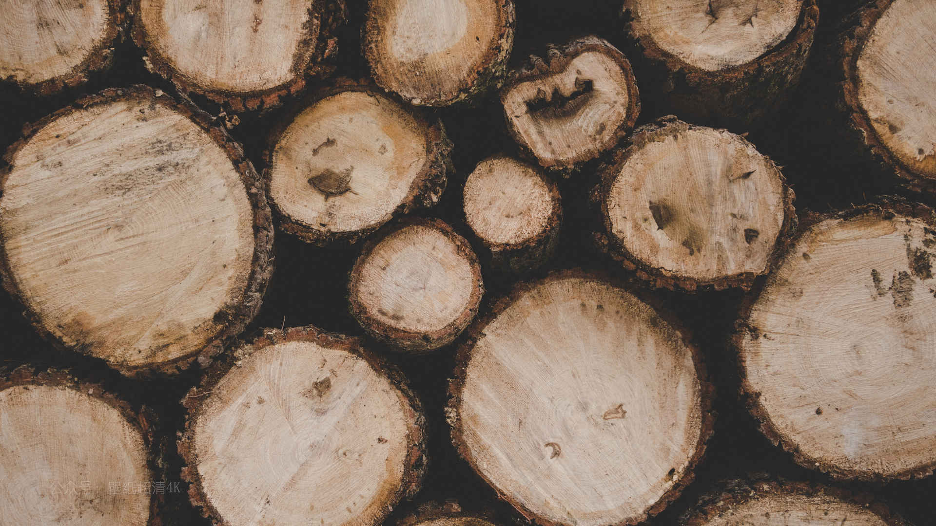 木材木头图片
