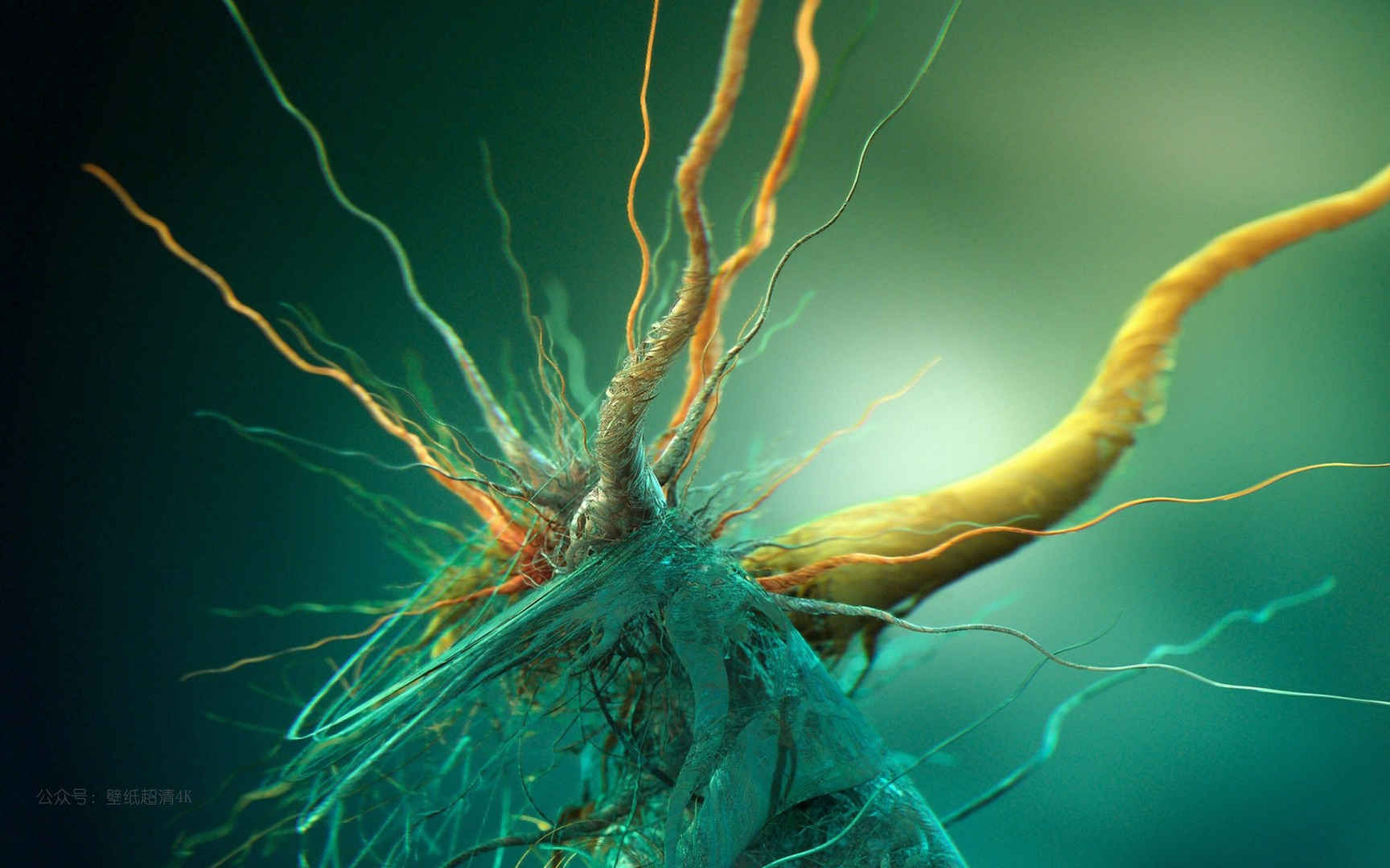 抽象的大脑细胞生物学绿色电脑壁纸图片