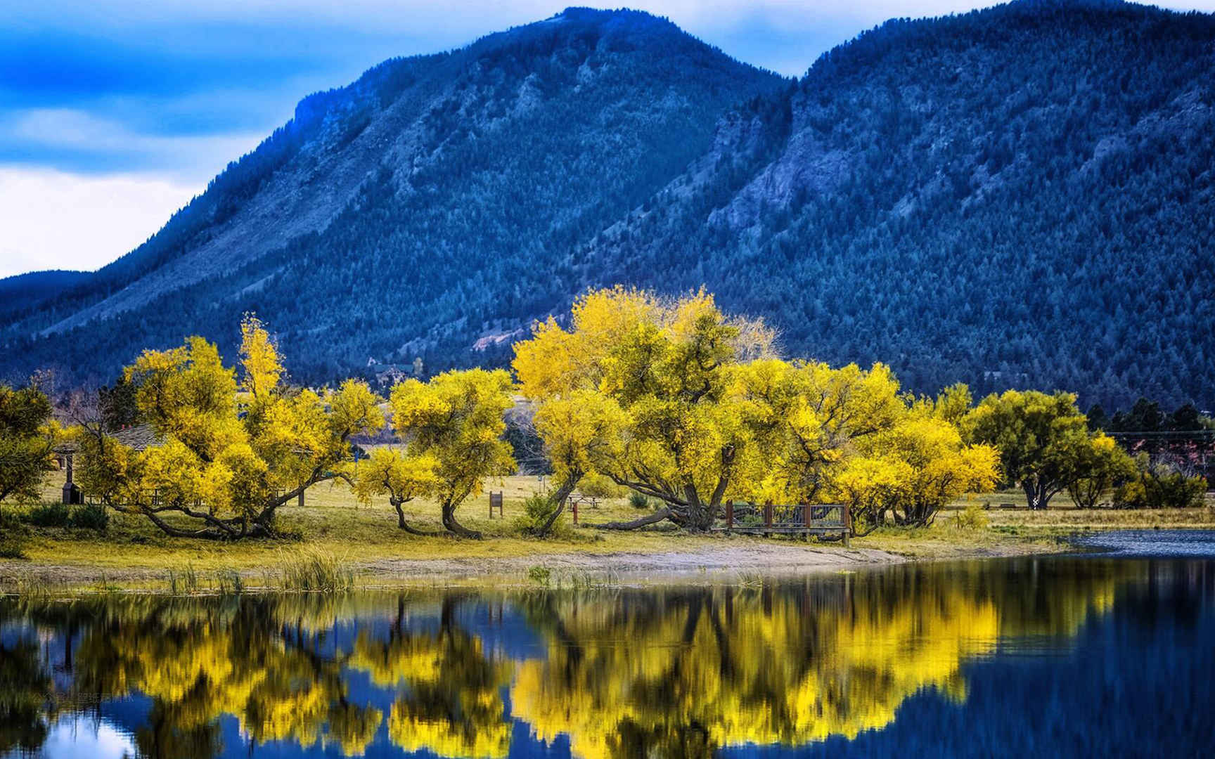 秋天黄色树木风景高清电脑壁纸