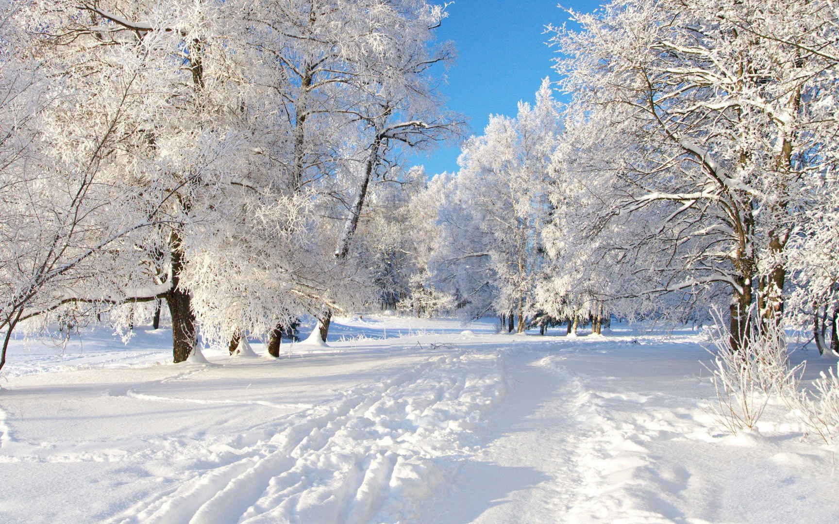 冬季雪景唯美壁纸-