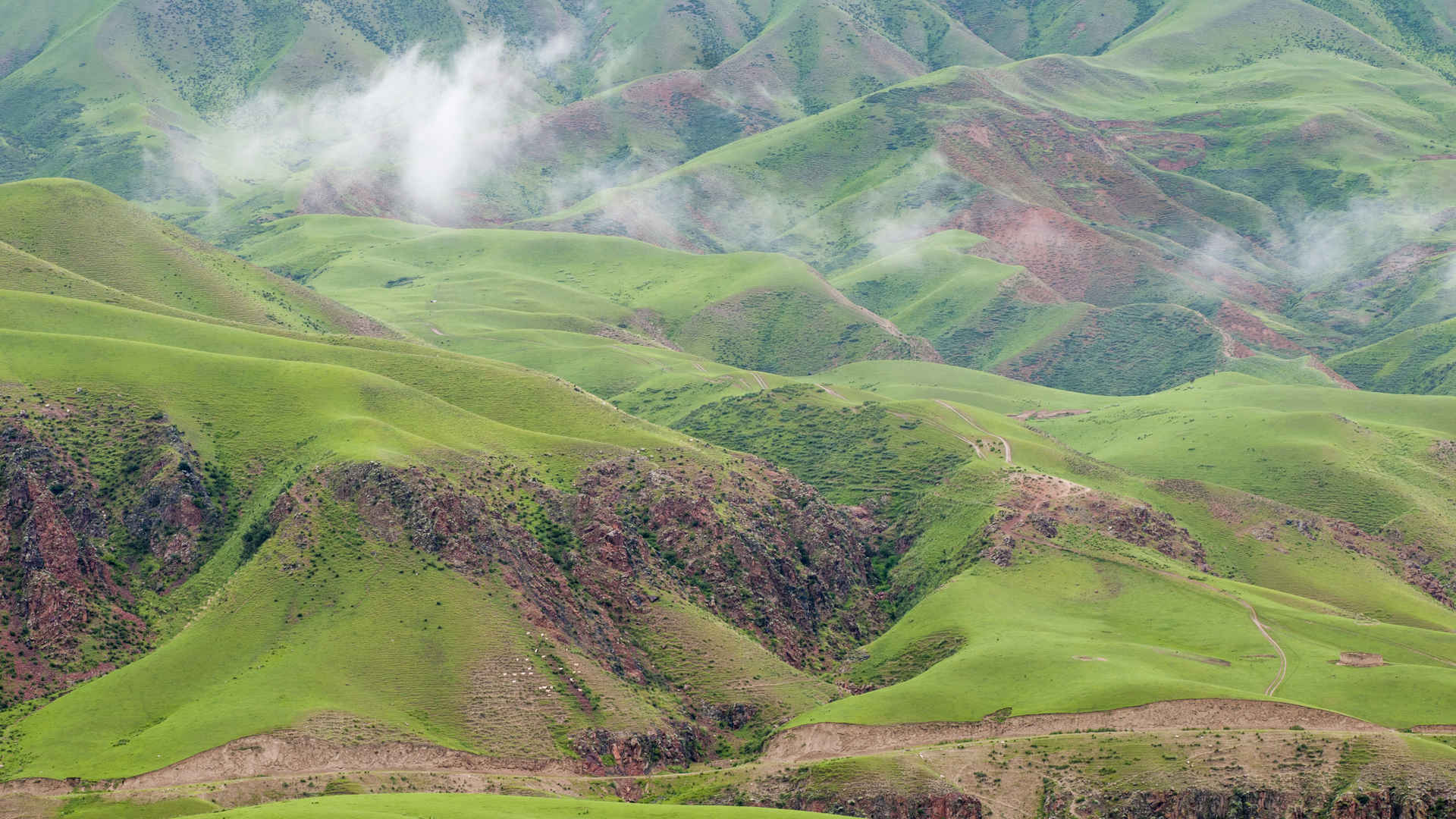 新疆绿色天山草原牧场壁纸