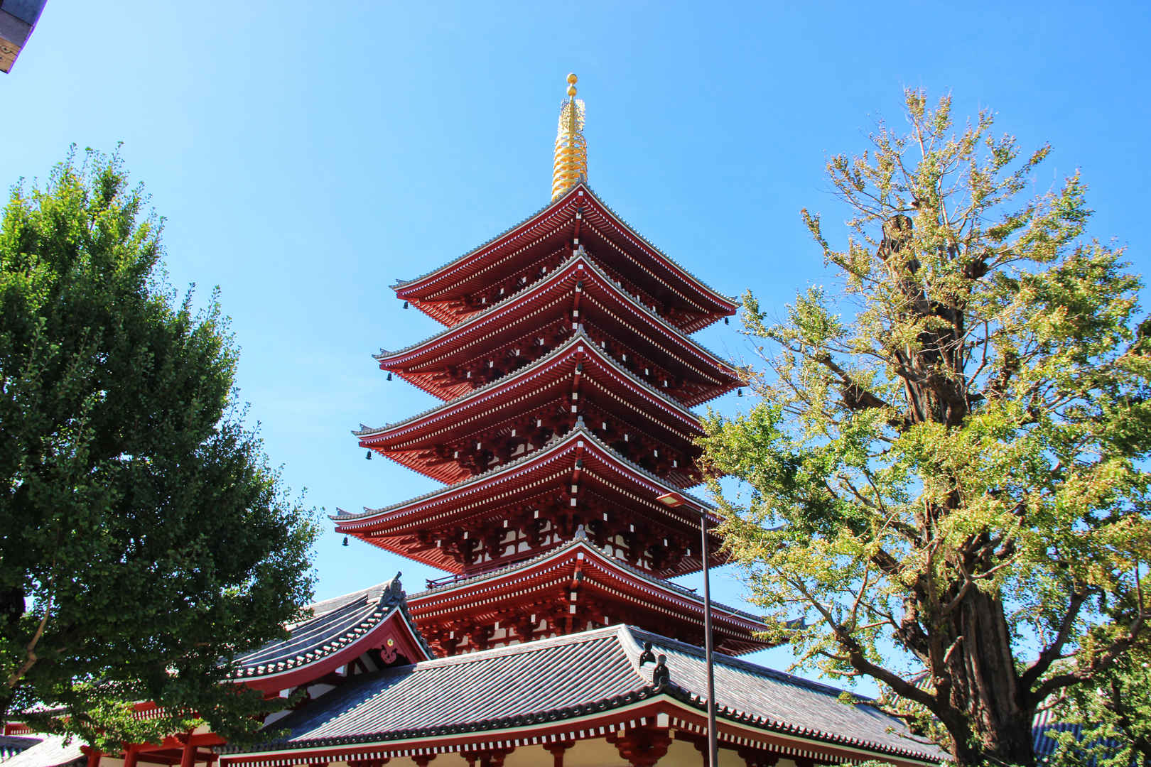 日本东京浅草寺风景图片