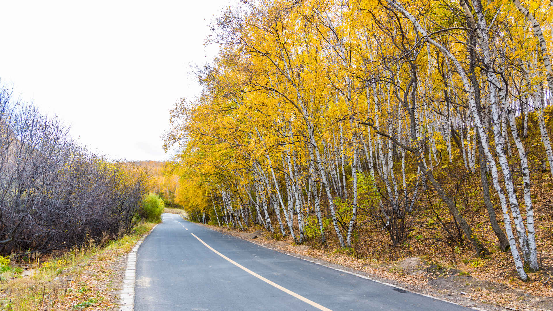 乌兰布统草原秋天自然风景图片-