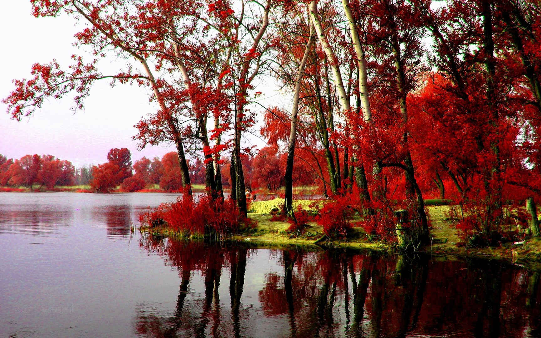 美丽的红枫倒影湖面风景壁纸图片