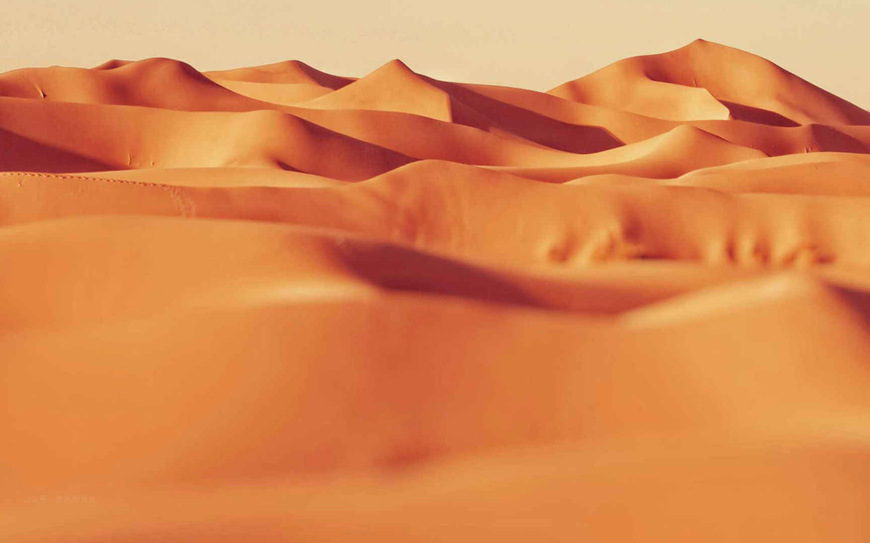 金黄色的沙漠风景高清电脑壁纸