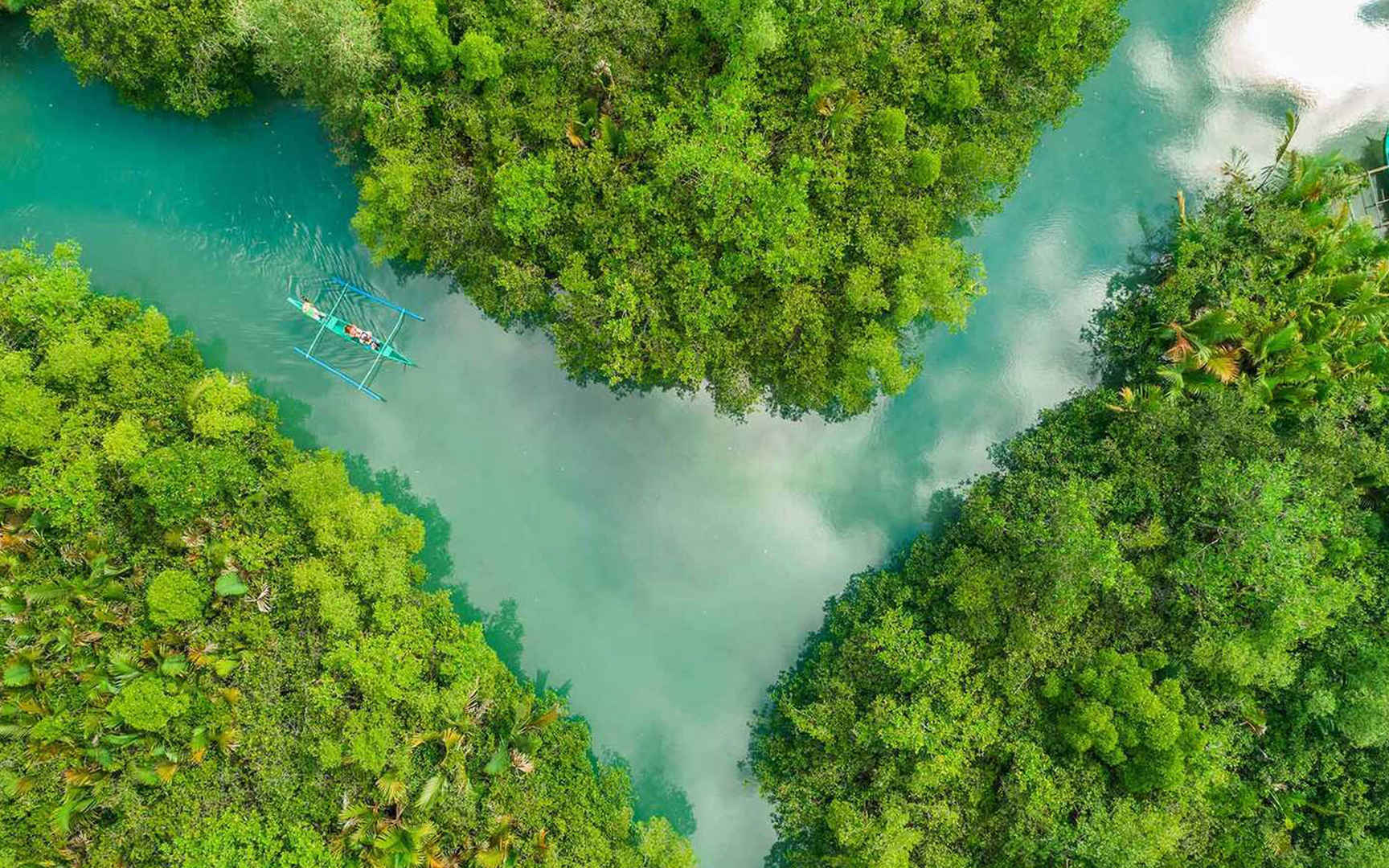 高空俯瞰下的河流雨林电脑壁纸