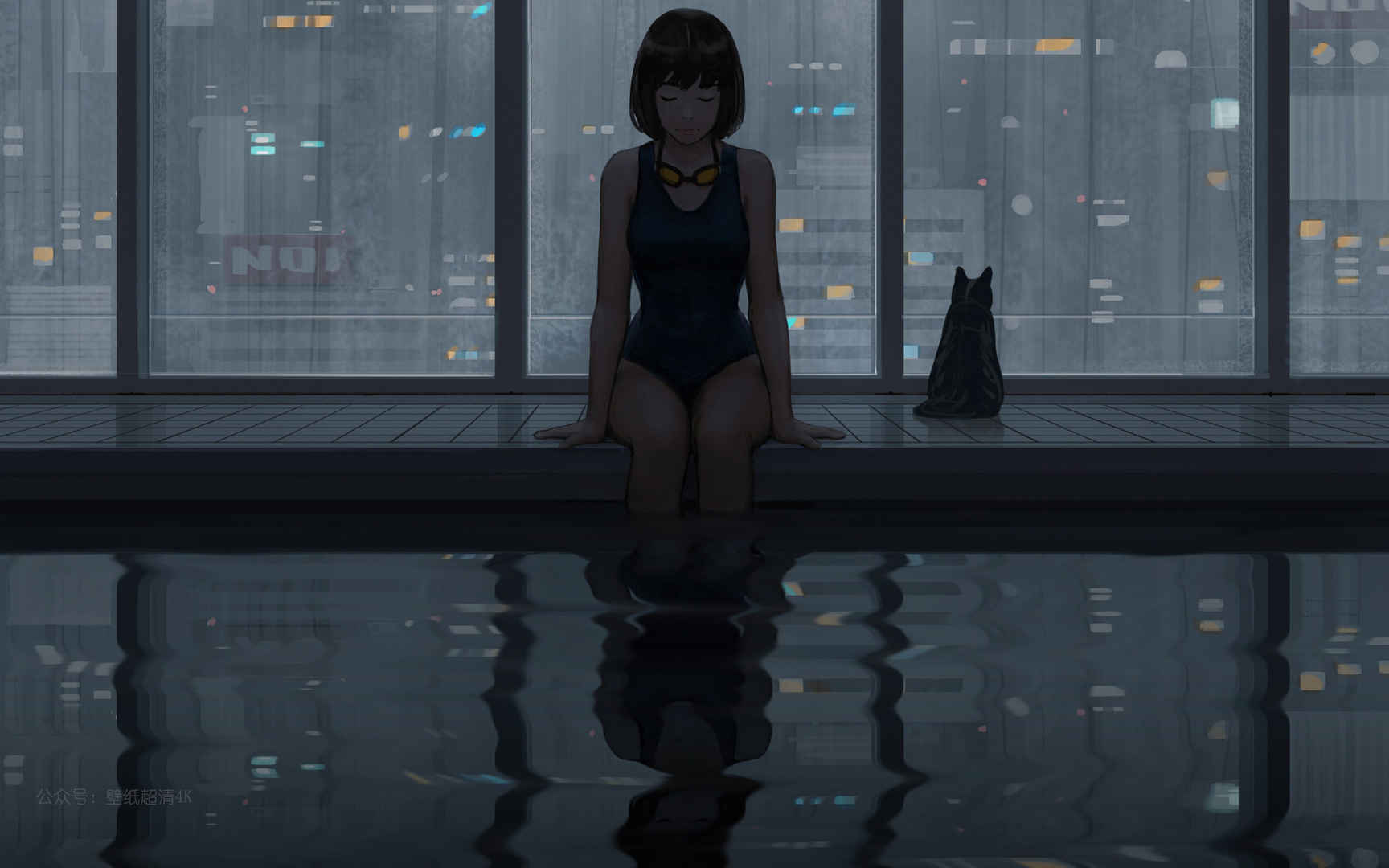 坐在泳池旁的女孩和猫动漫壁纸图片
