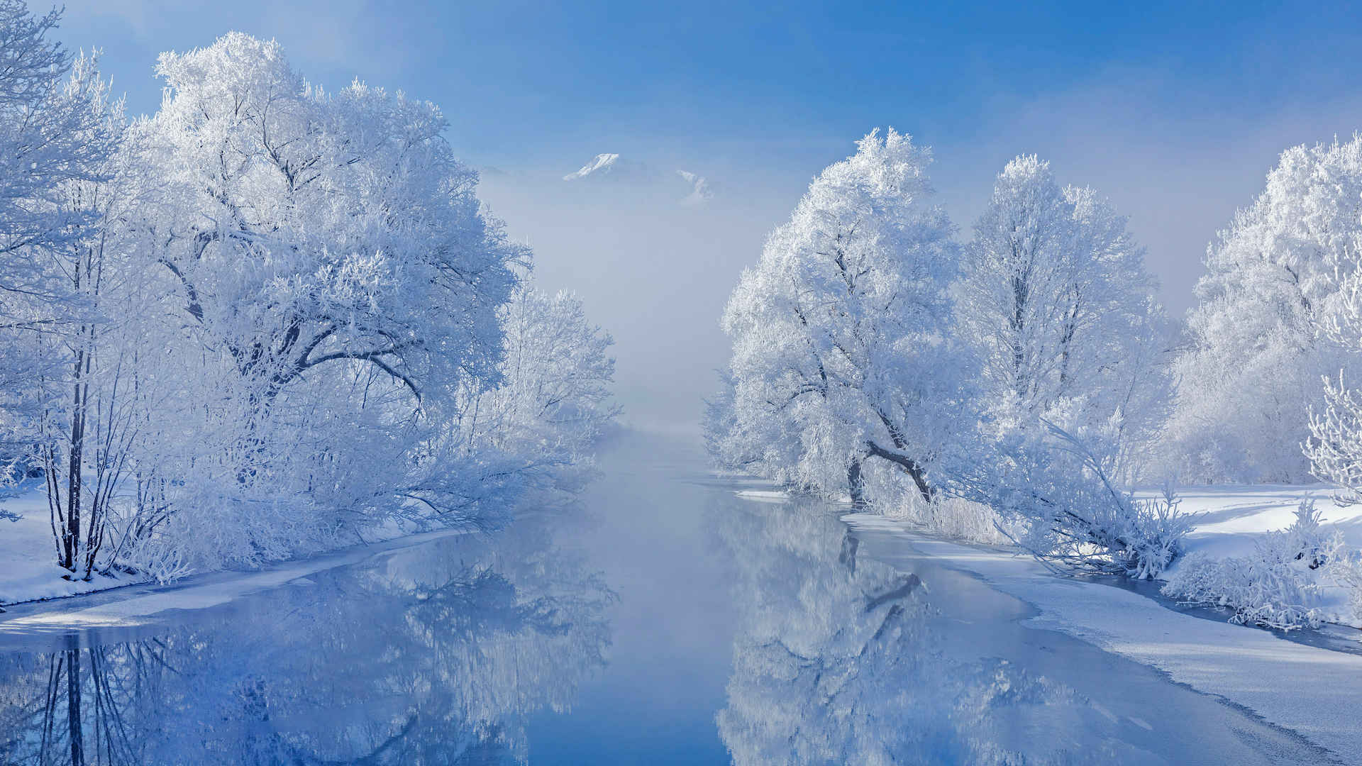 冬天 雪景 河流 树壁纸-
