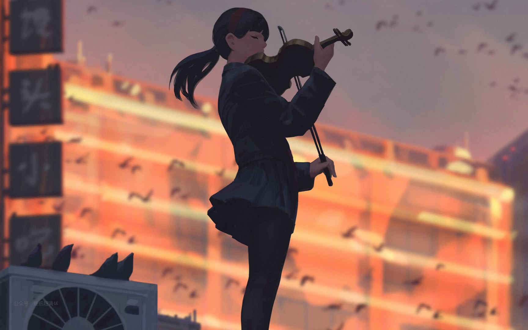 广场上拉小提琴的女孩电脑壁纸