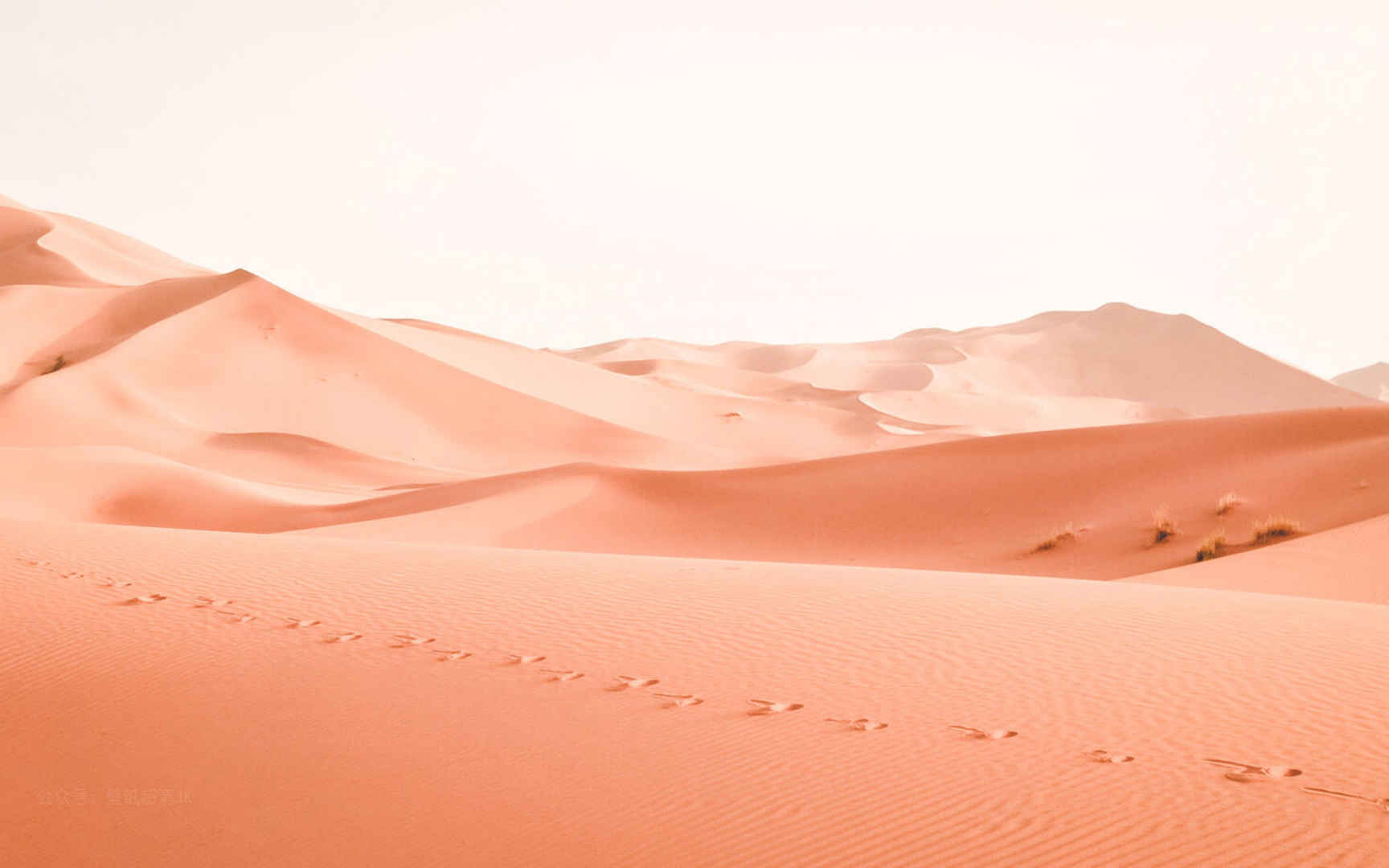 漫天黄沙的大沙漠风景电脑壁纸