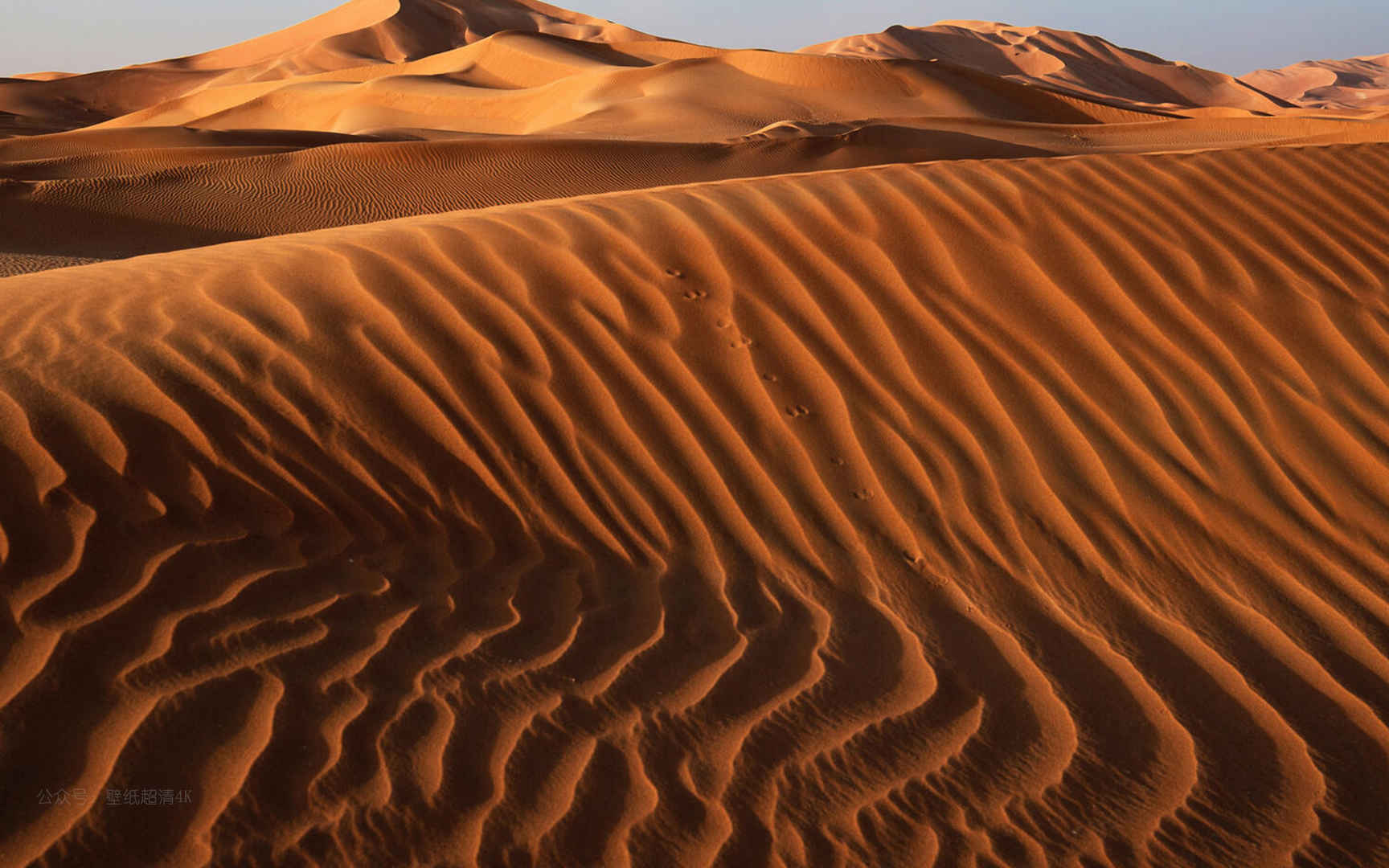 沙漠上的高清波浪纹理电脑壁纸