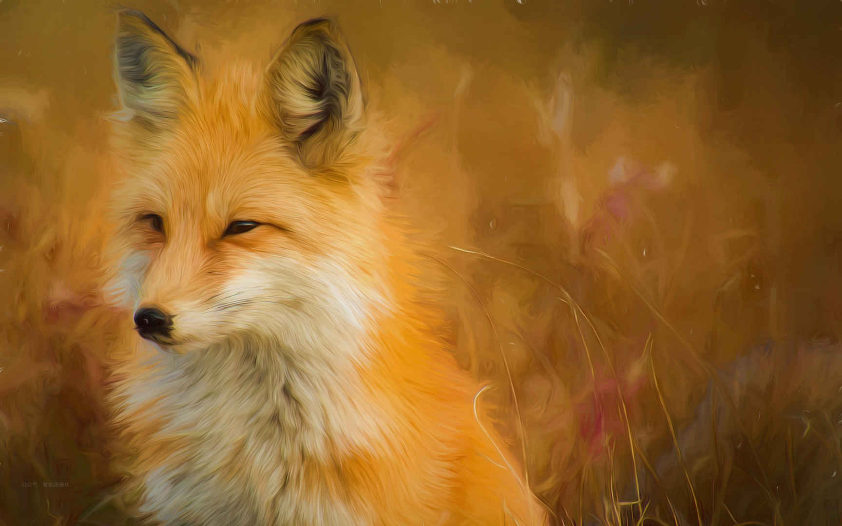 狐狸插画壁纸-