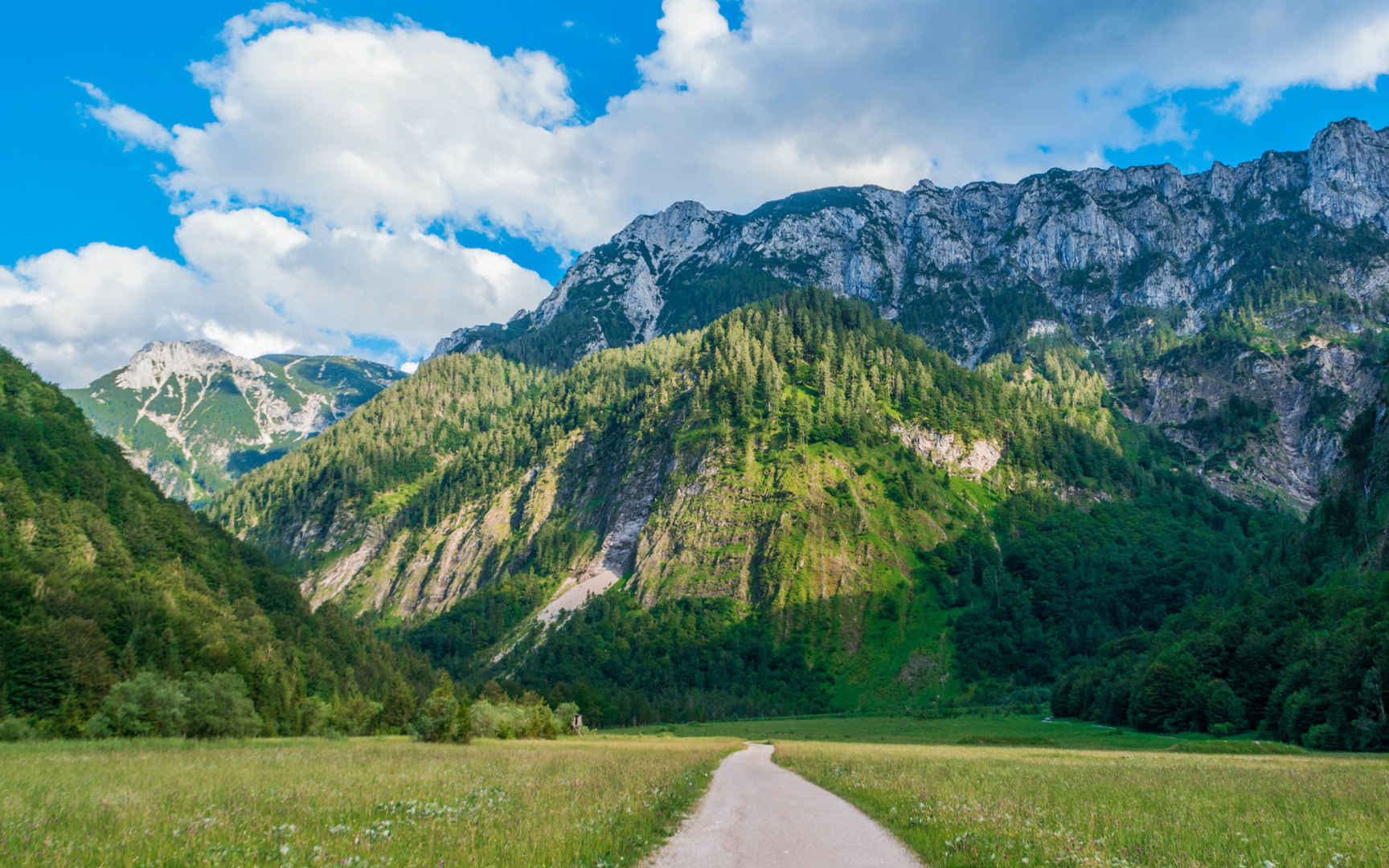 奥地利自然风景森林公路壁纸图片