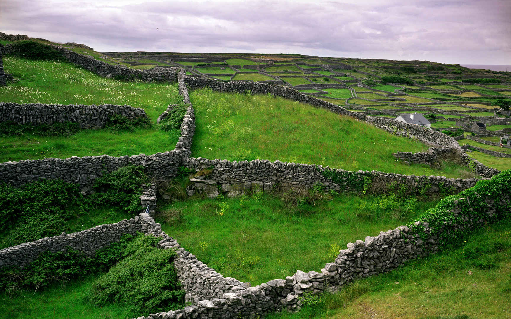 “翡翠岛国”爱尔兰共和国高清风景壁纸-