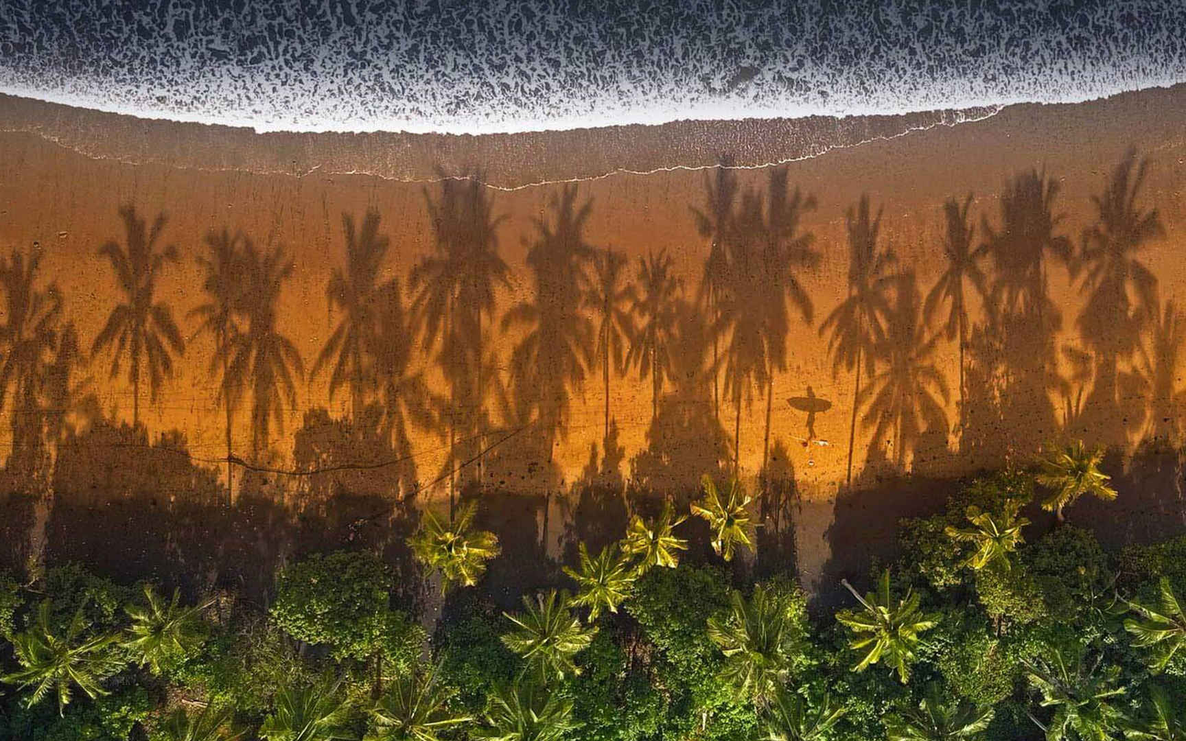 海滩上棕榈树倒影风景电脑壁纸-