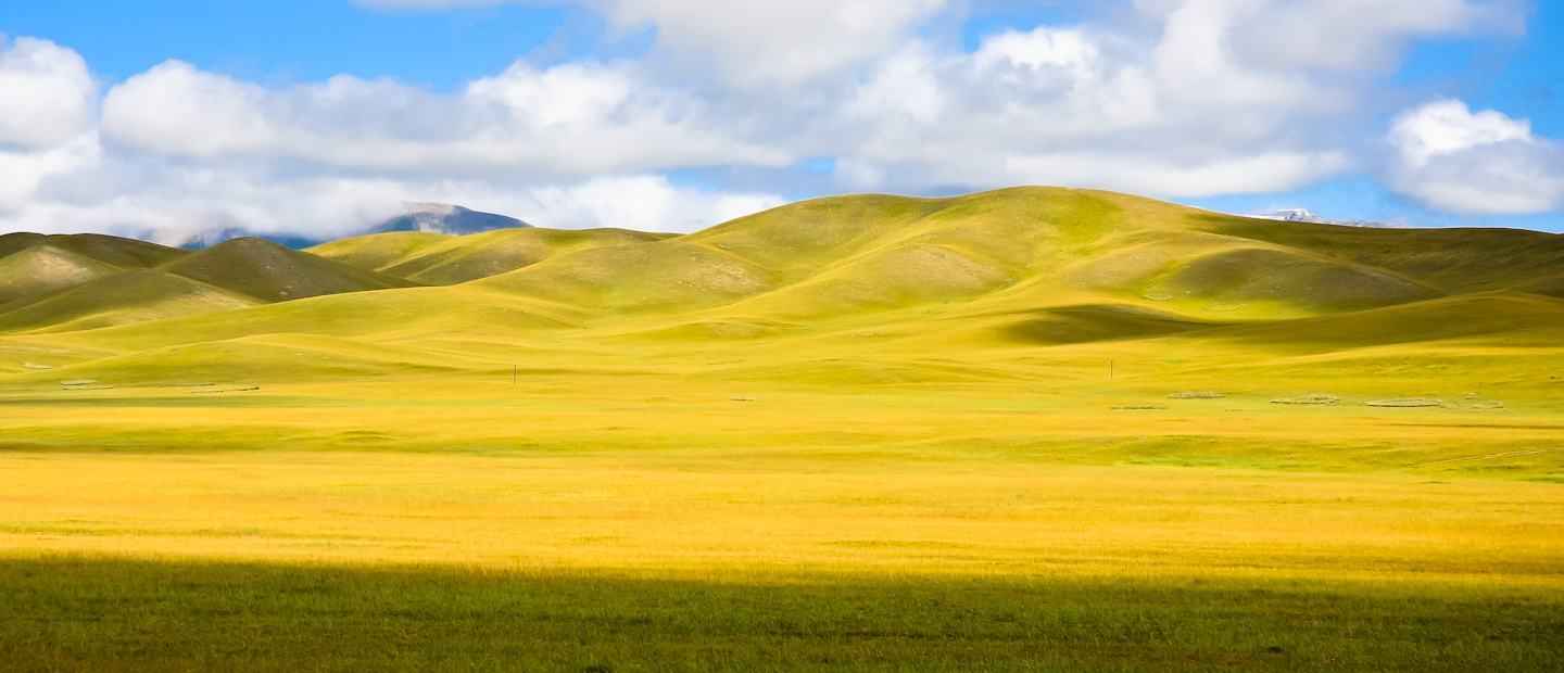 新疆畜牧业基地之一巴音布鲁克草原图片-