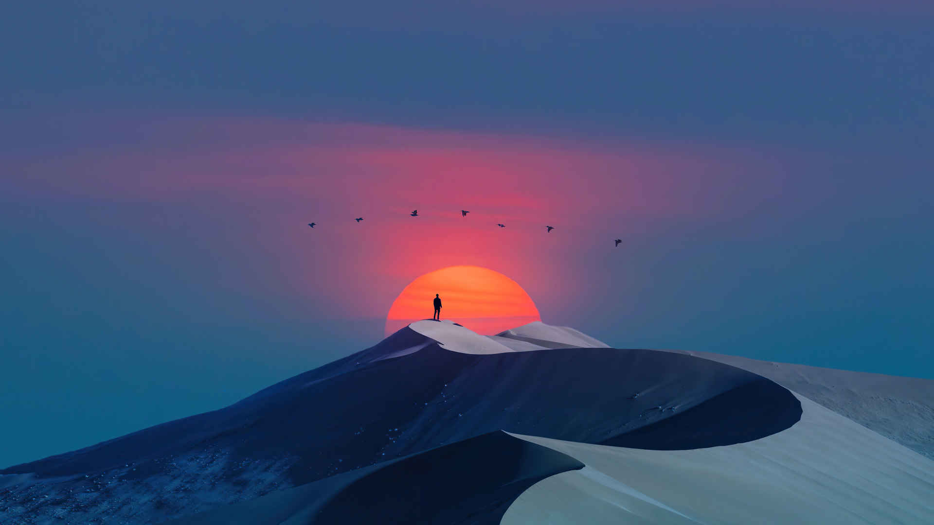 日落 沙漠 飞鸟 风景插画壁纸-