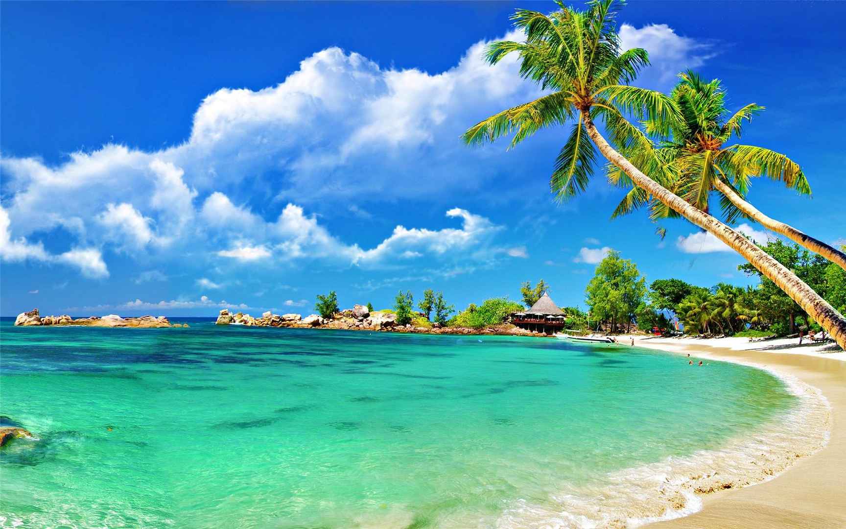椰风大海沙滩风景-