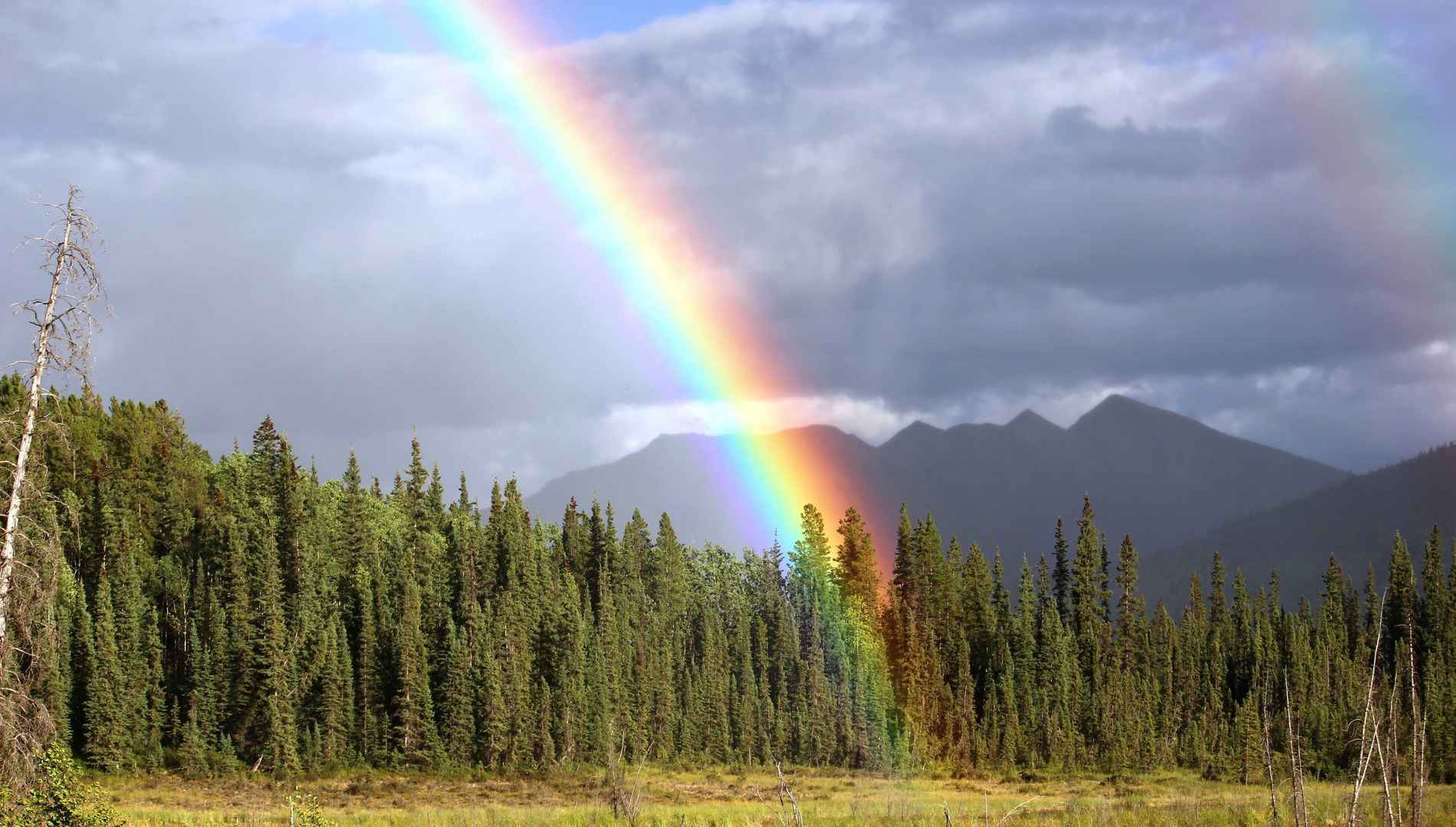 唯美的大自然现象“彩虹”高清壁纸图片-