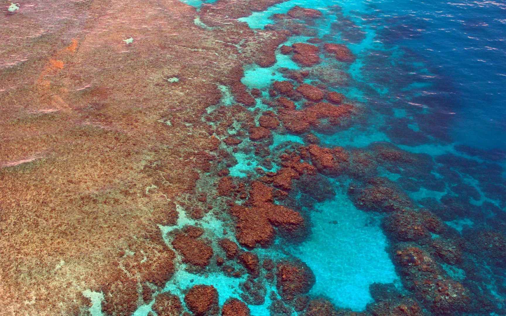 澳大利亚昆士兰，蔚蓝唯美的大堡礁桌面壁纸图片-