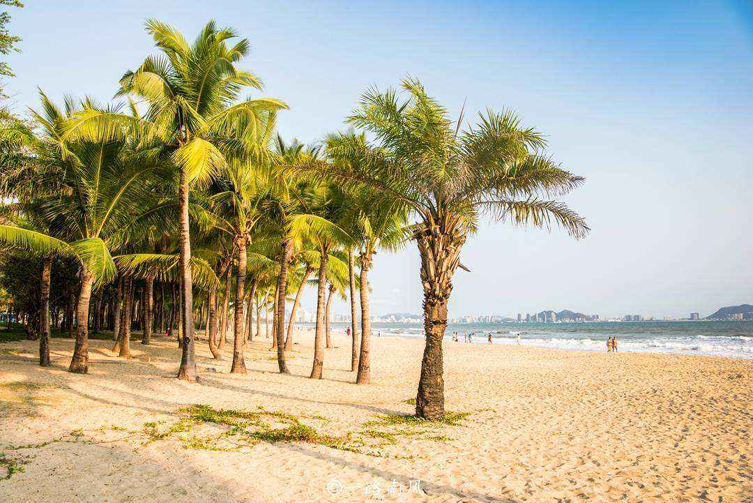 沙滩，海浪，椰树林，棕榈树倒影，印尼巴厘岛海滩风景壁纸图片-