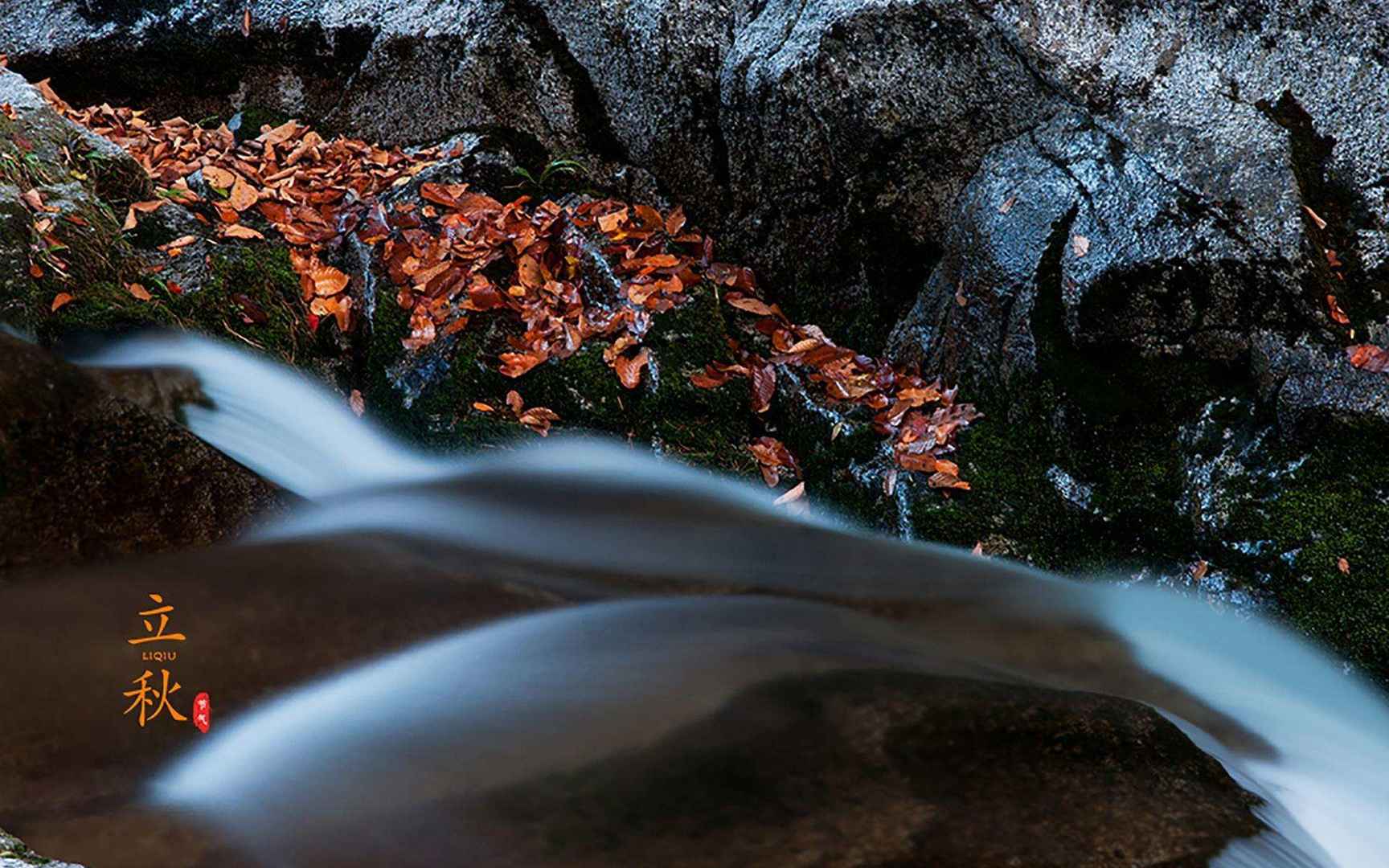 落叶知秋，立秋壁纸，以山间溪水，石头，落叶为背景的立秋文字壁纸图片-