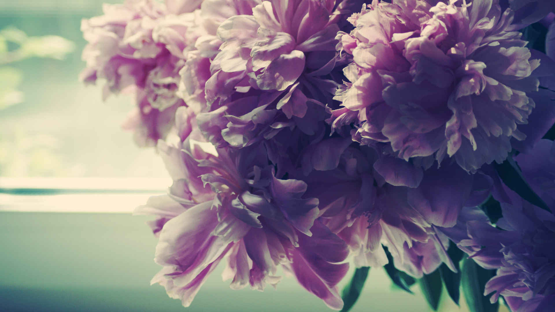 花团锦簇的图片