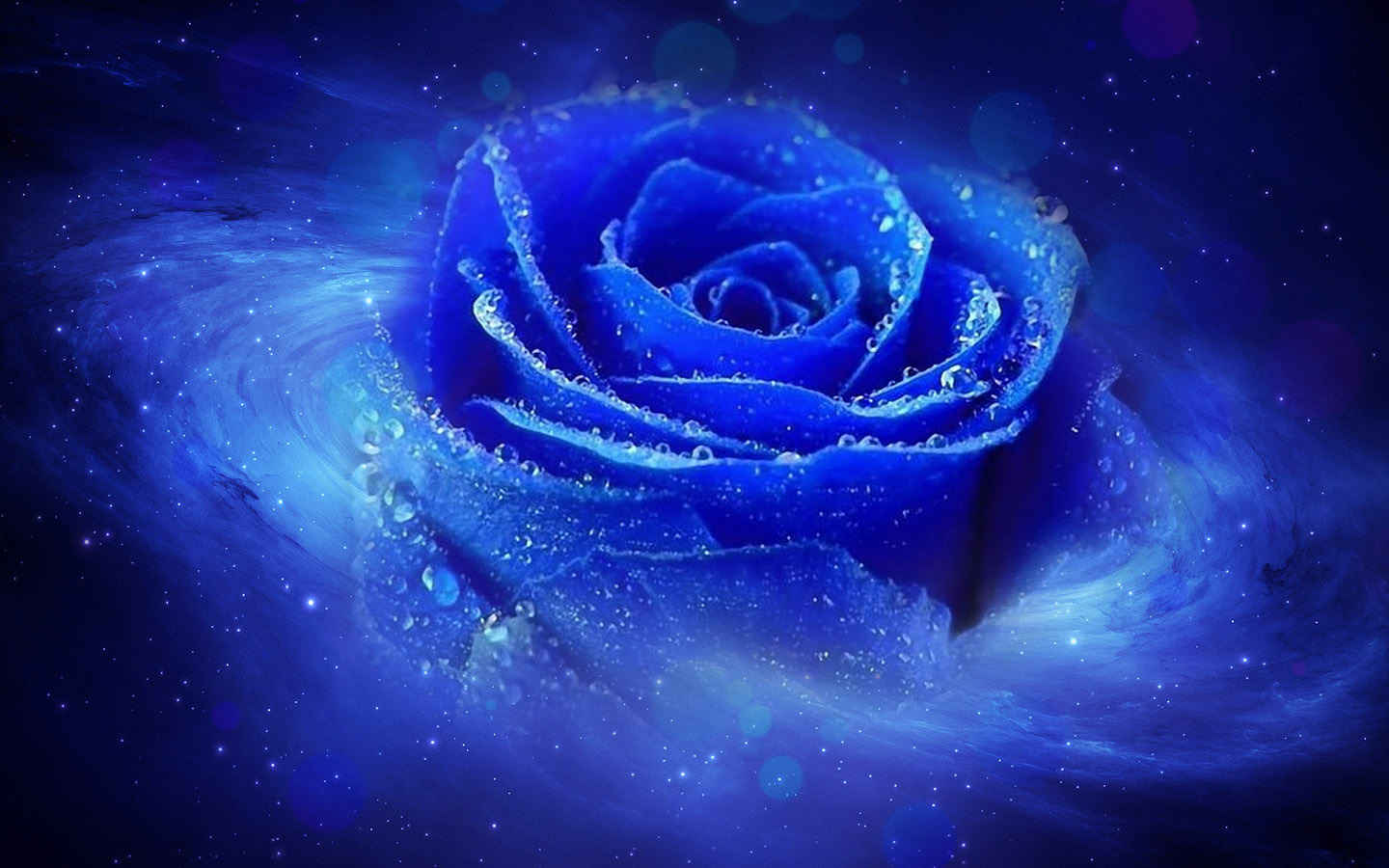 蓝色玫瑰花图片