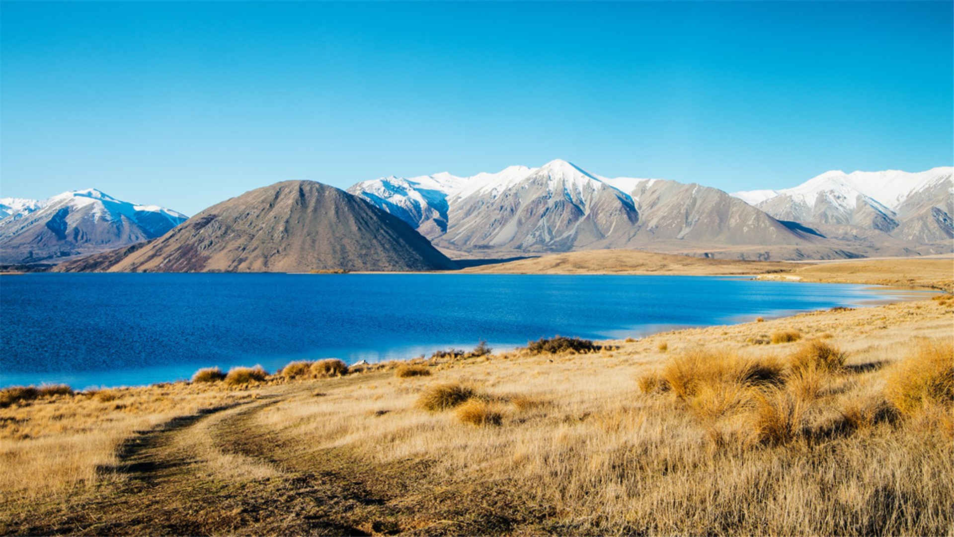 新西兰白鹭湖壁纸