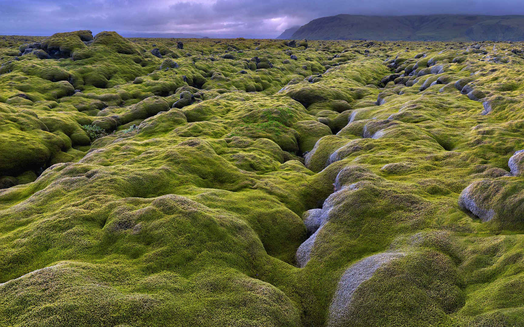 冰岛绿色苔藓石头唯美风景电脑壁纸-