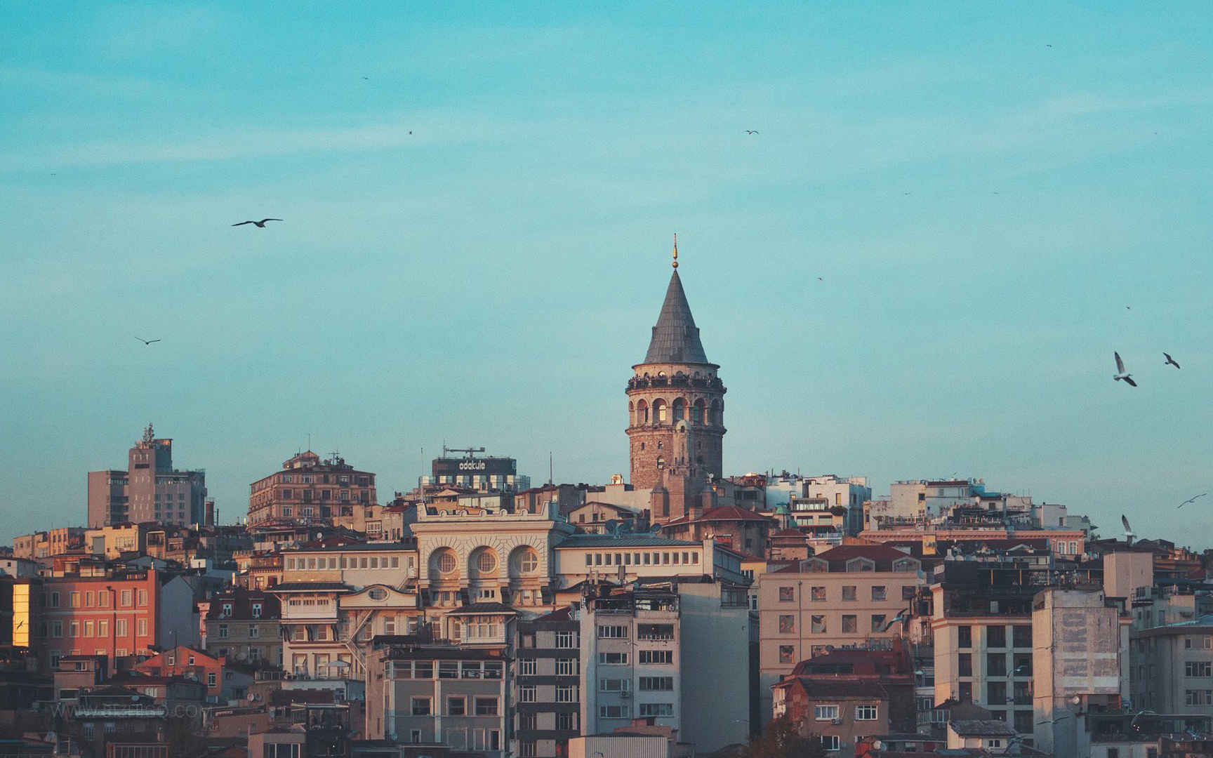 伊斯坦布尔中东建筑城市风景图片