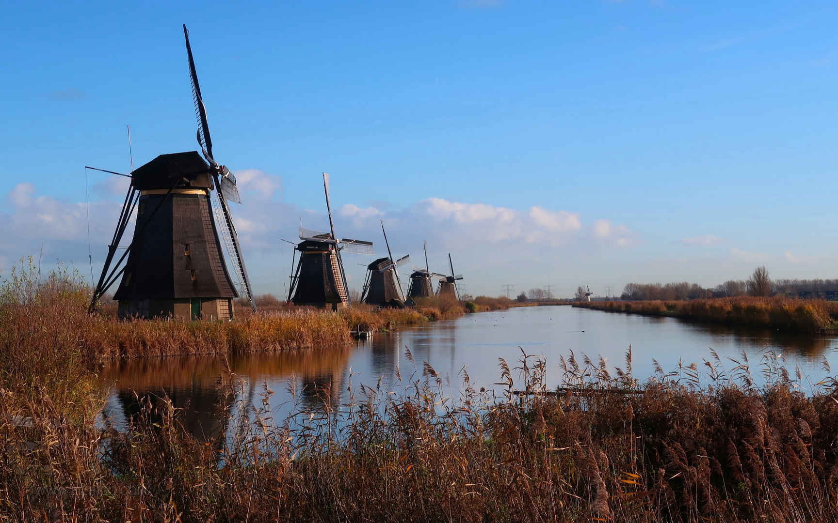 荷兰风车景色电脑壁纸