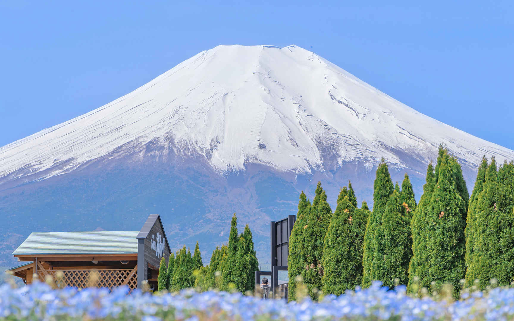 富士山的初夏电脑壁纸