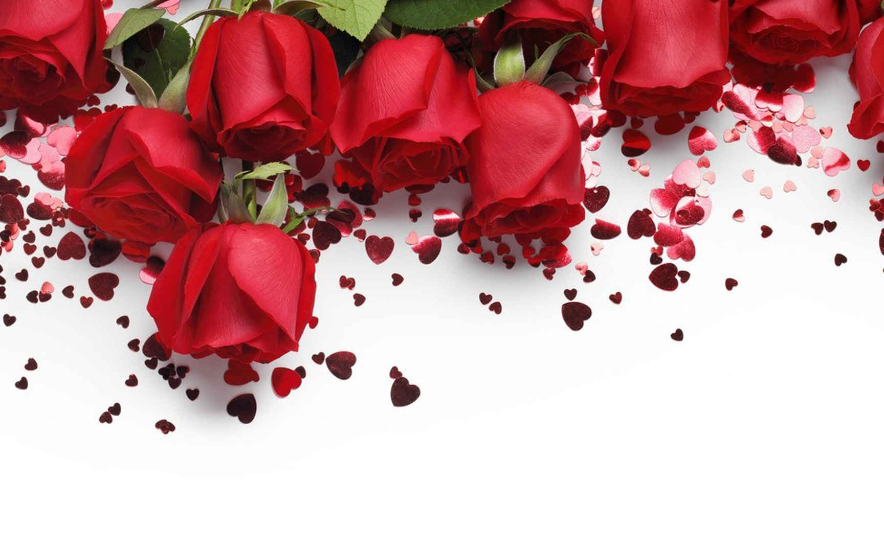 象征着爱情的红色玫瑰花电脑壁纸