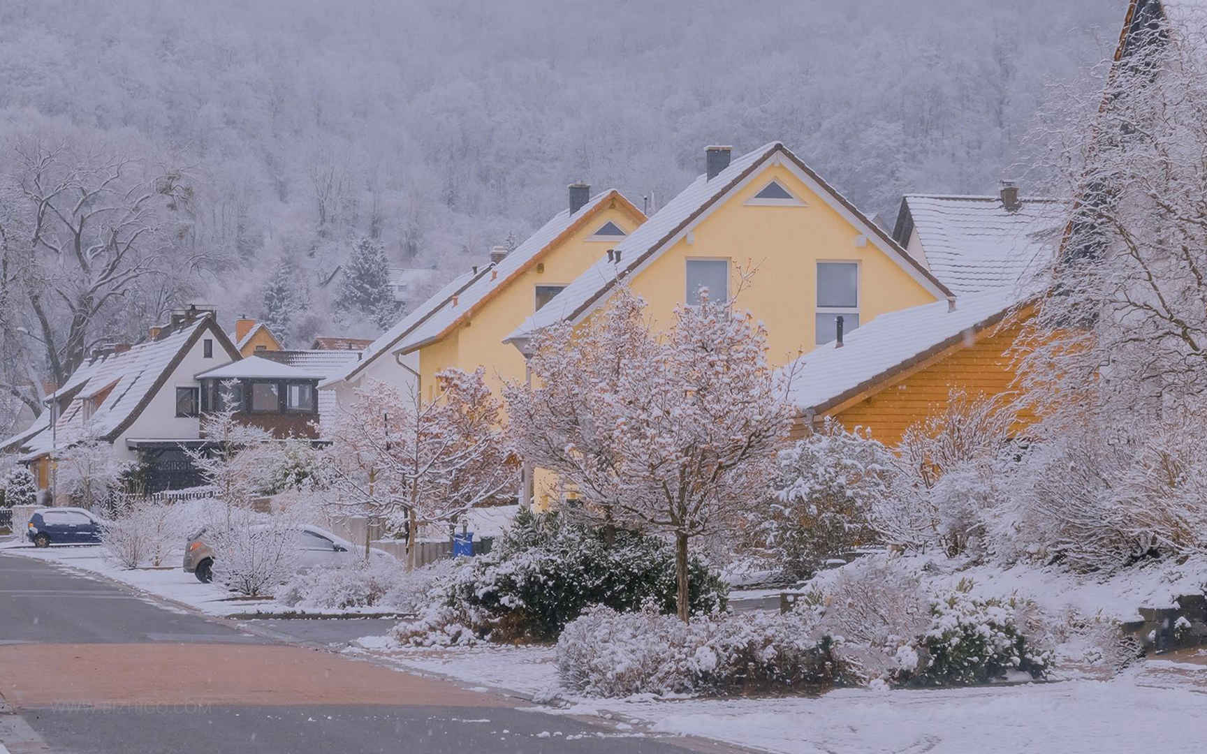 雪覆盖的房屋与树木风景图电脑壁纸