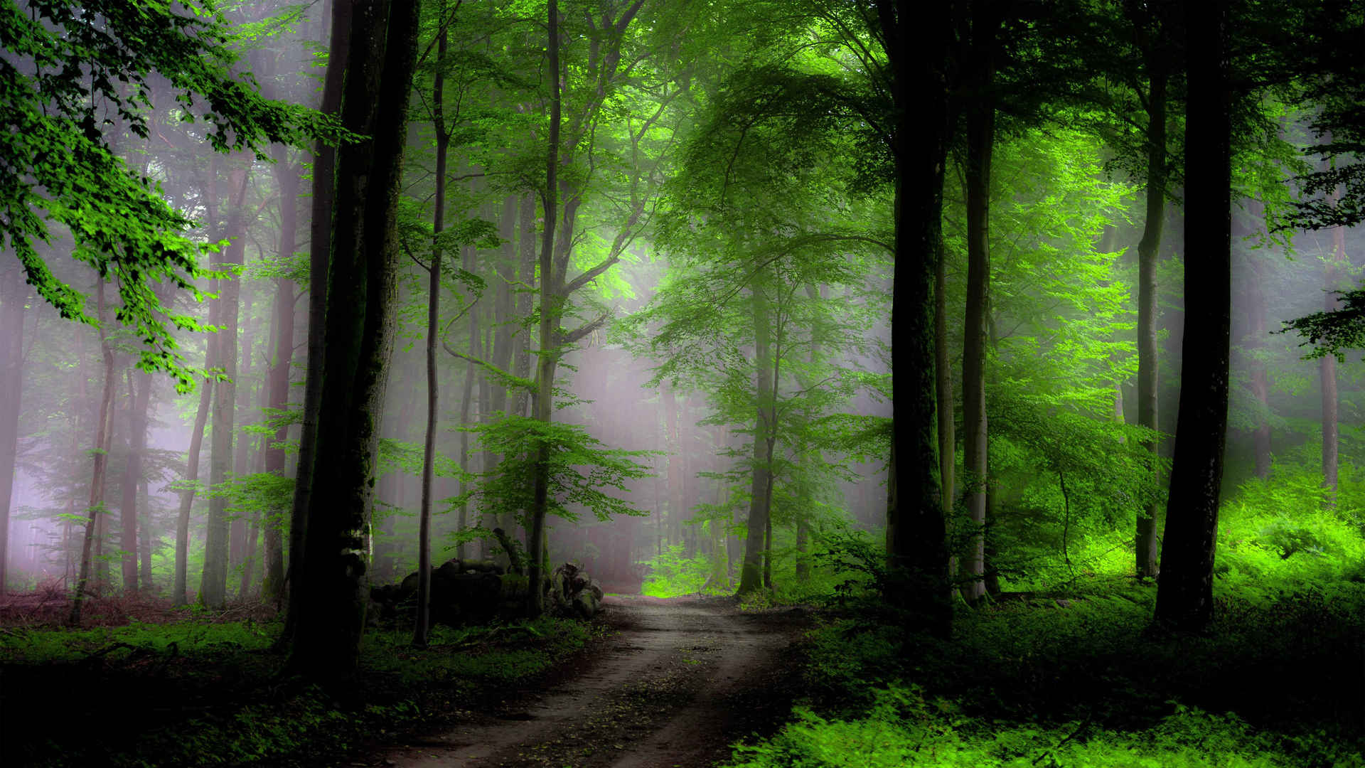 迷雾绿色深林ins超仙气壁纸