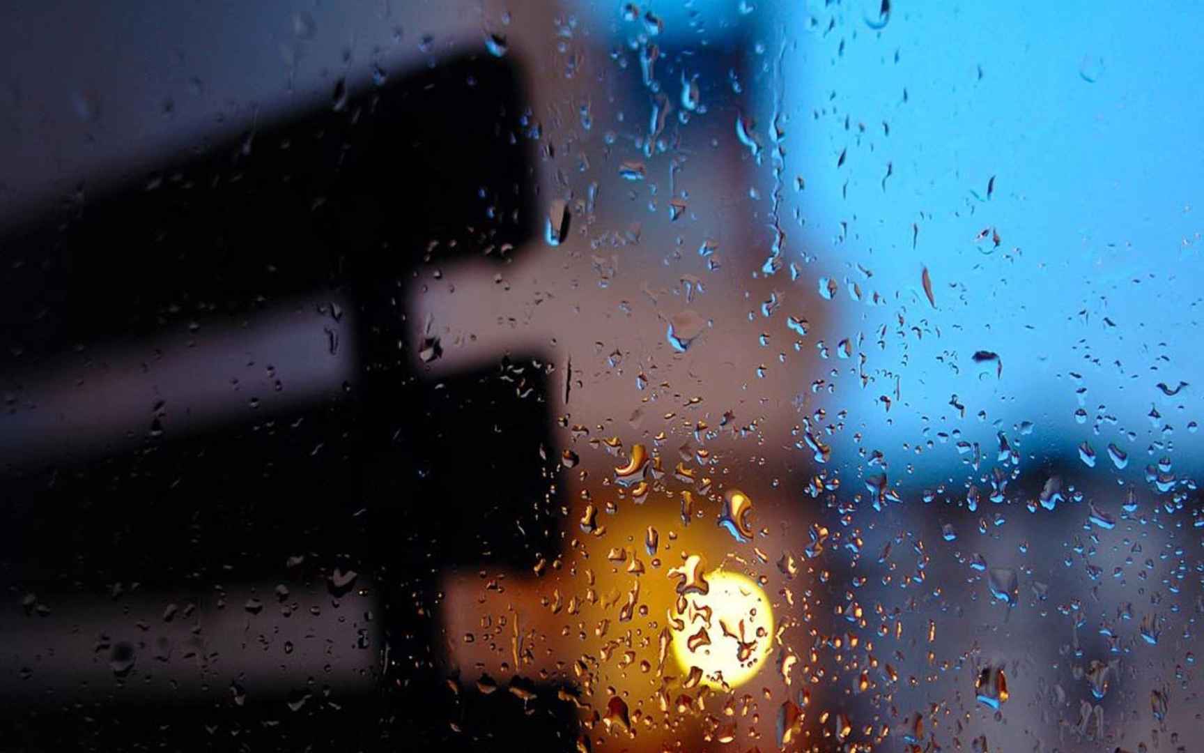 大雨过后~晶莹剔透的雨滴桌面壁纸-