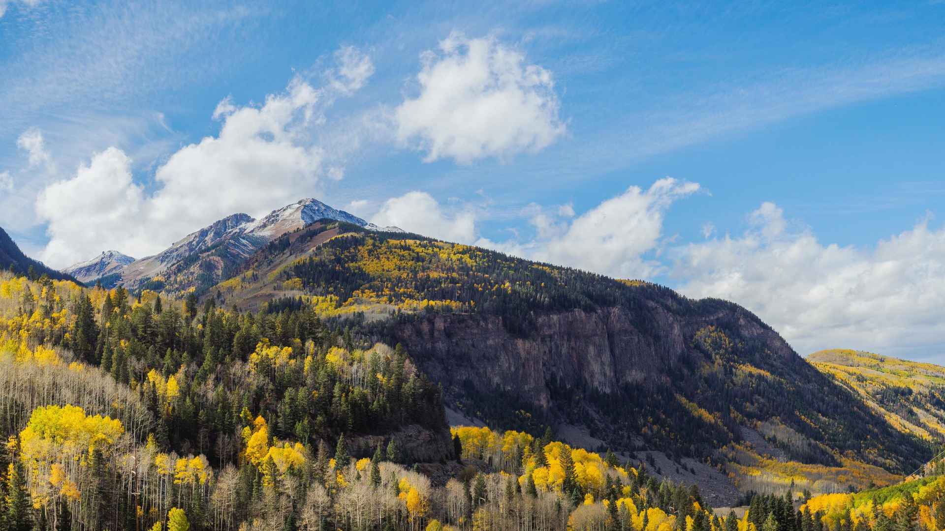 科罗拉多州美国森林优美的风景图片壁纸