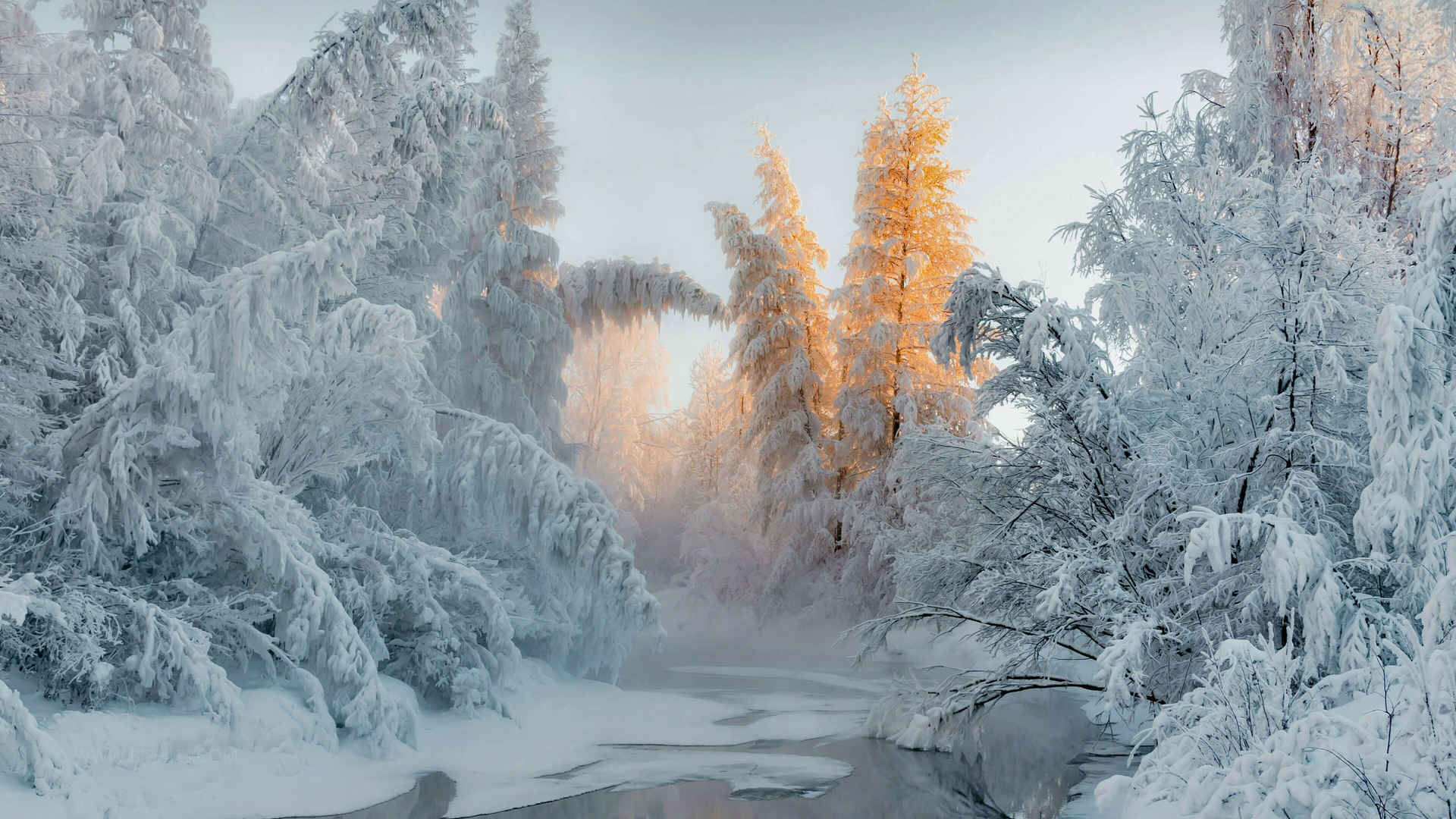冬天-河流-树木-雪壁纸-