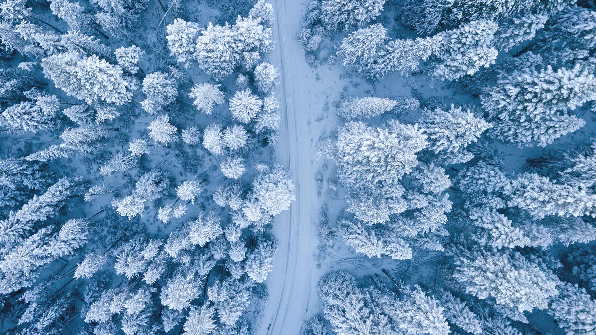 森林-公路-雪壁纸-