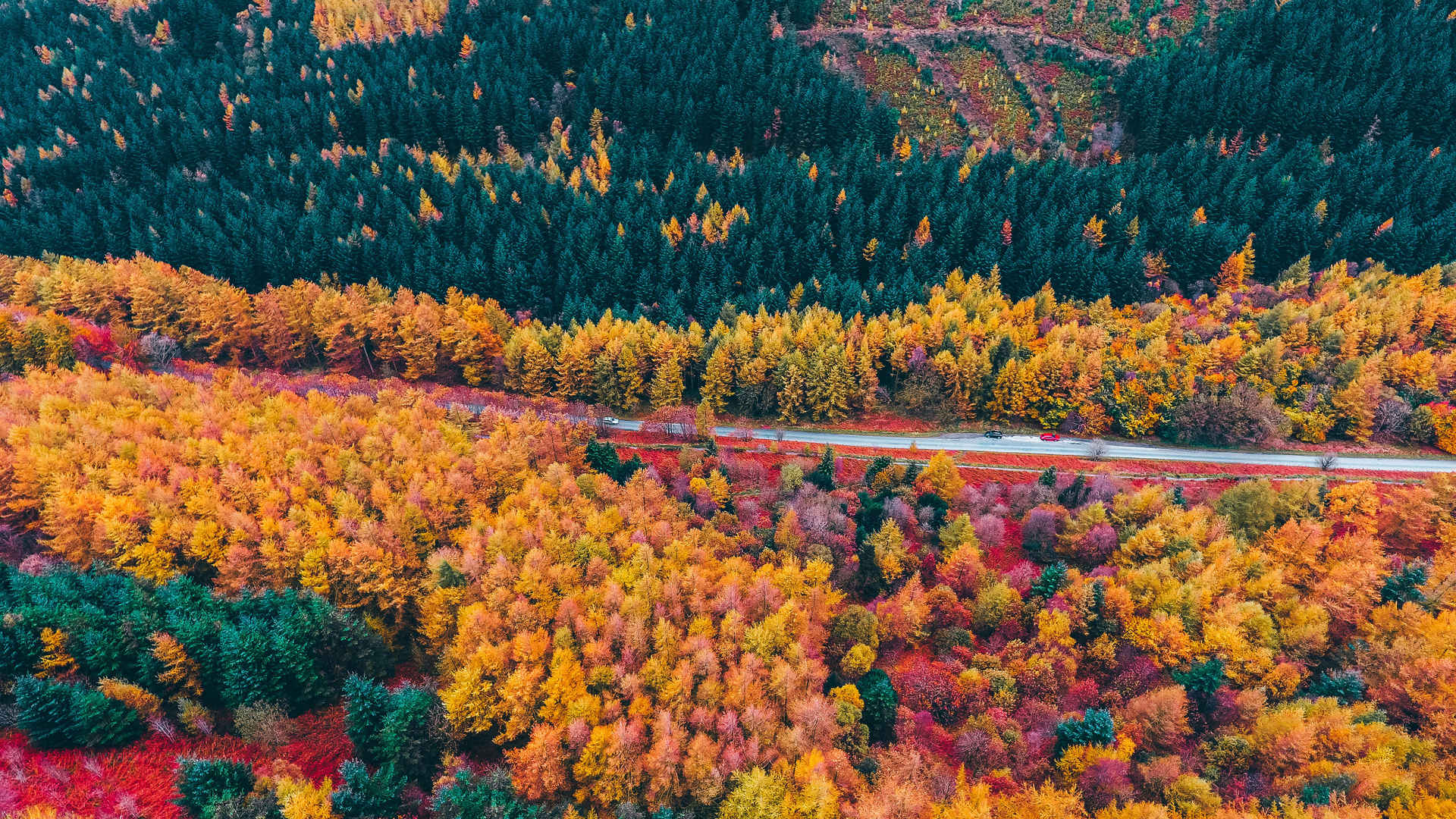 秋天-森林-公路-航拍壁纸-