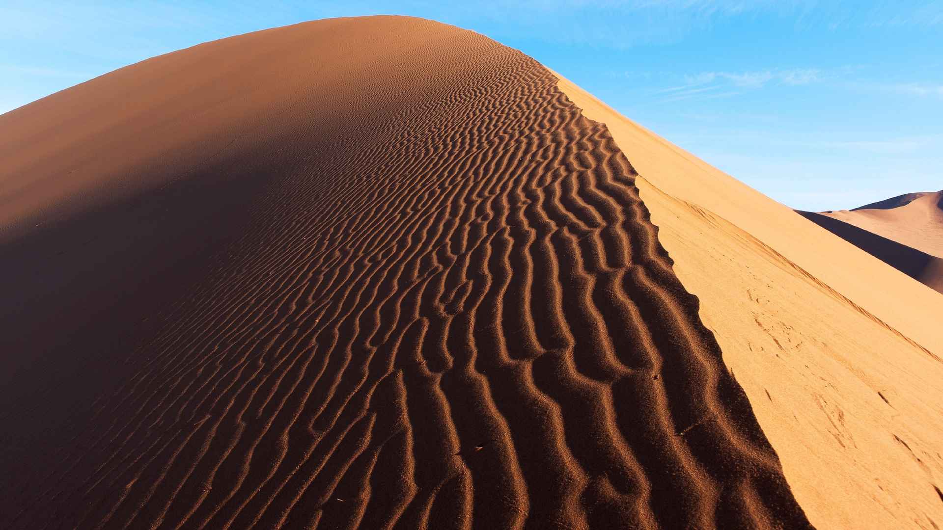 沙漠 沙丘 沙脊