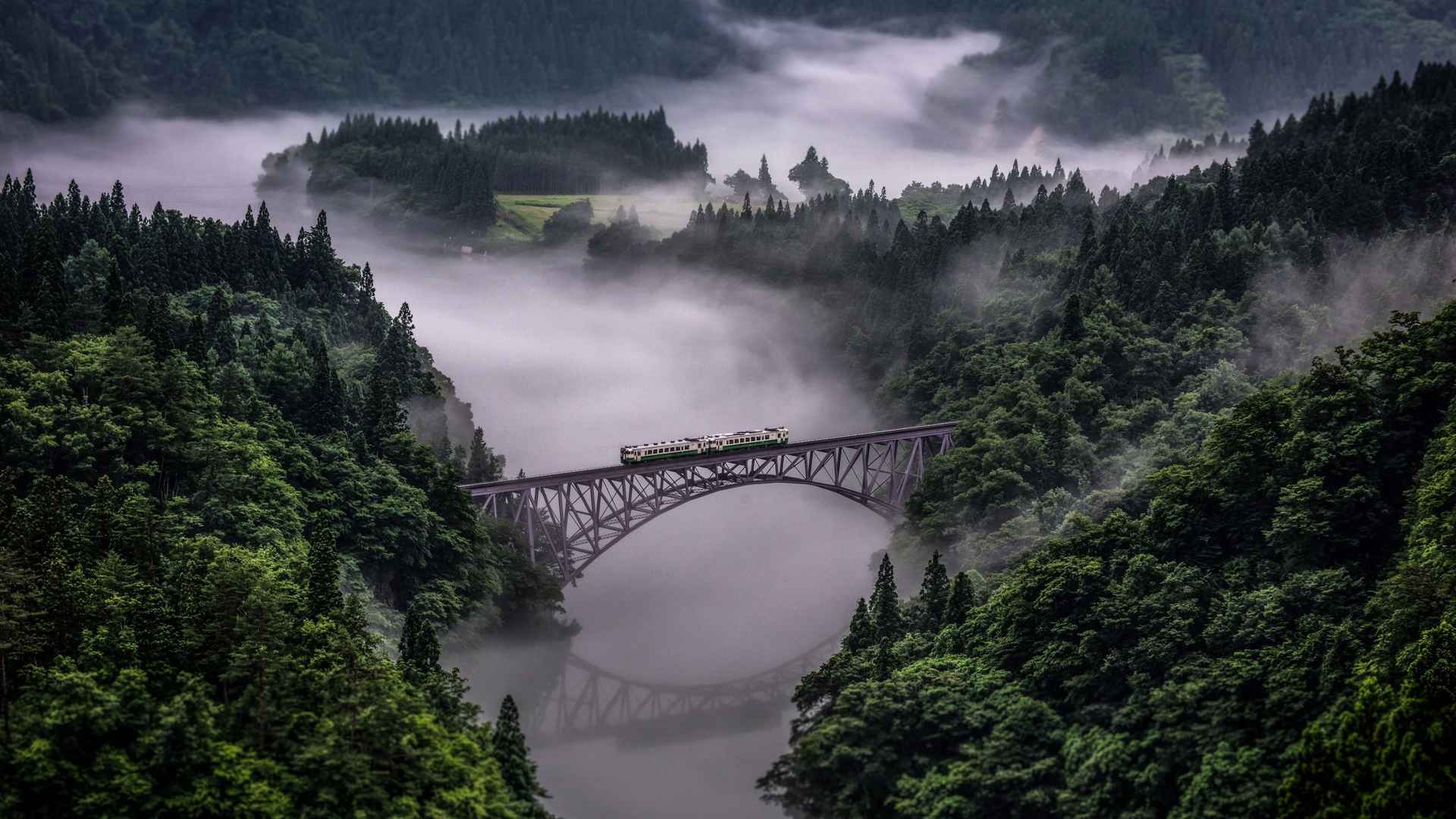 森林 河谷 铁路桥