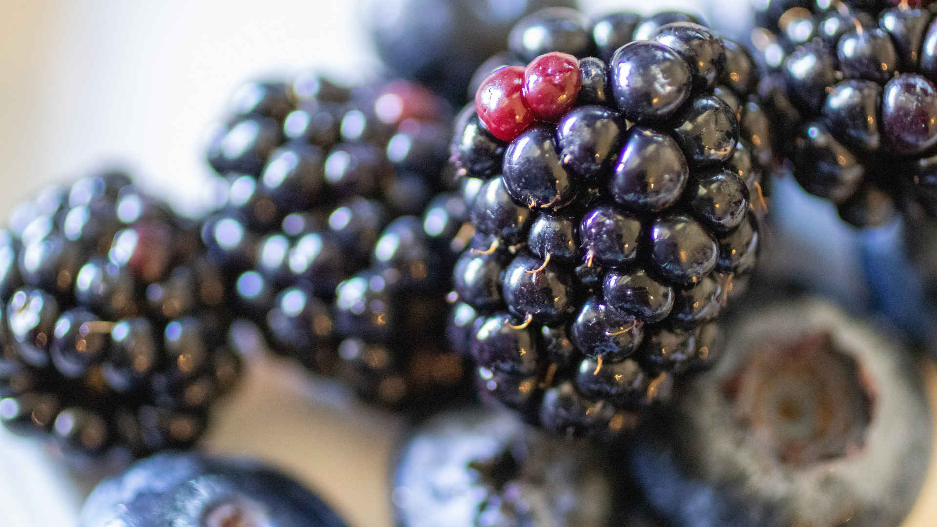 高清黑莓水果图片