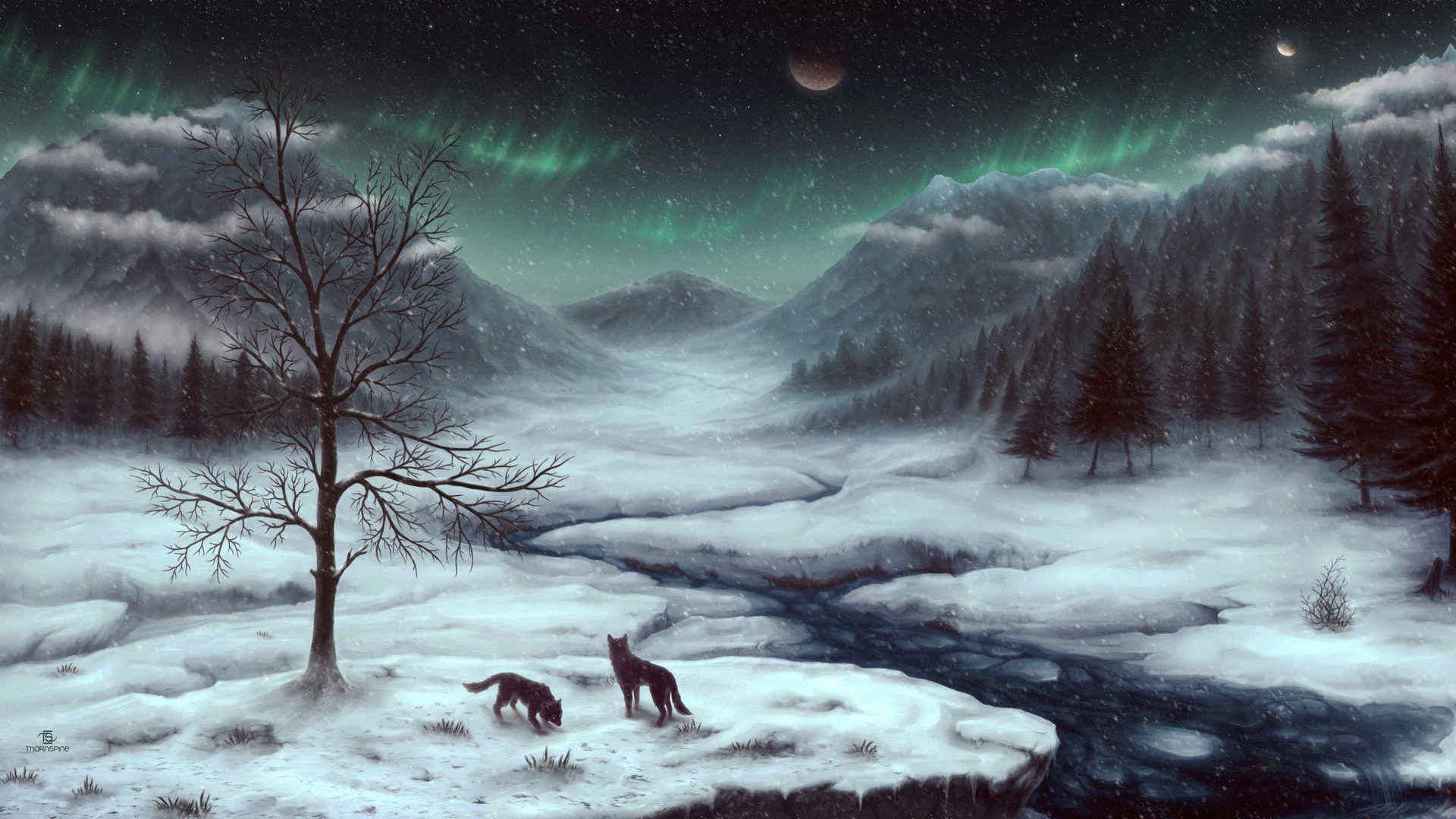 冬天雪地树林里的狼