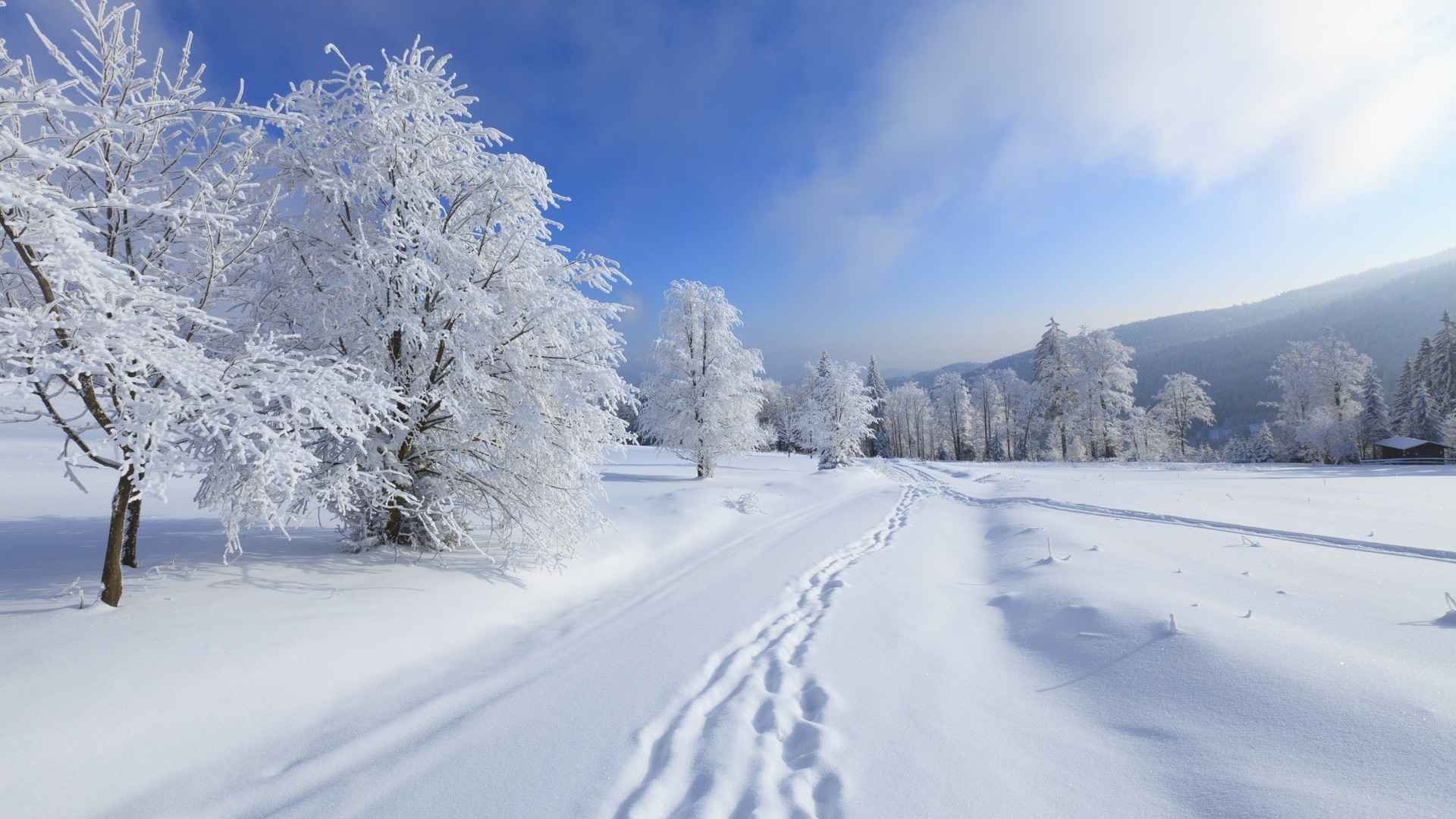 雪景上的脚印-