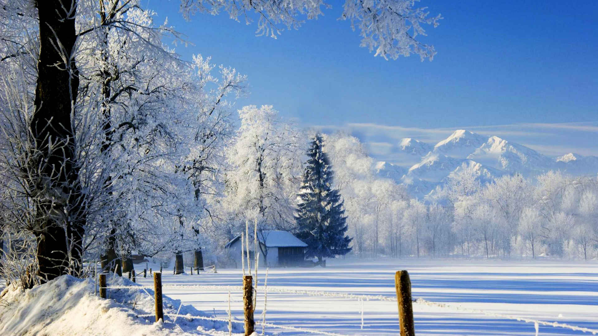 雪景高清图片